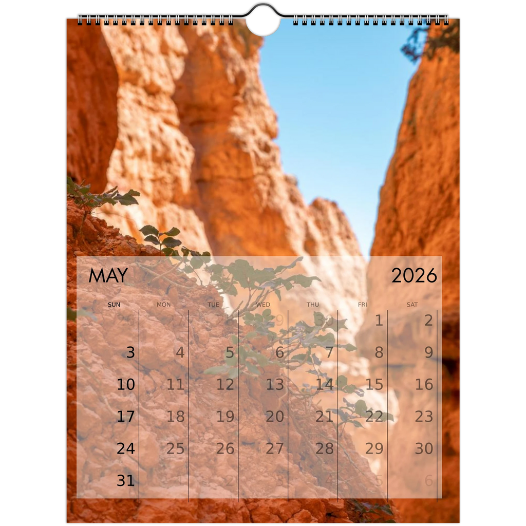 089162f9-ebd5-4cb5-a70d-603224e37f2d