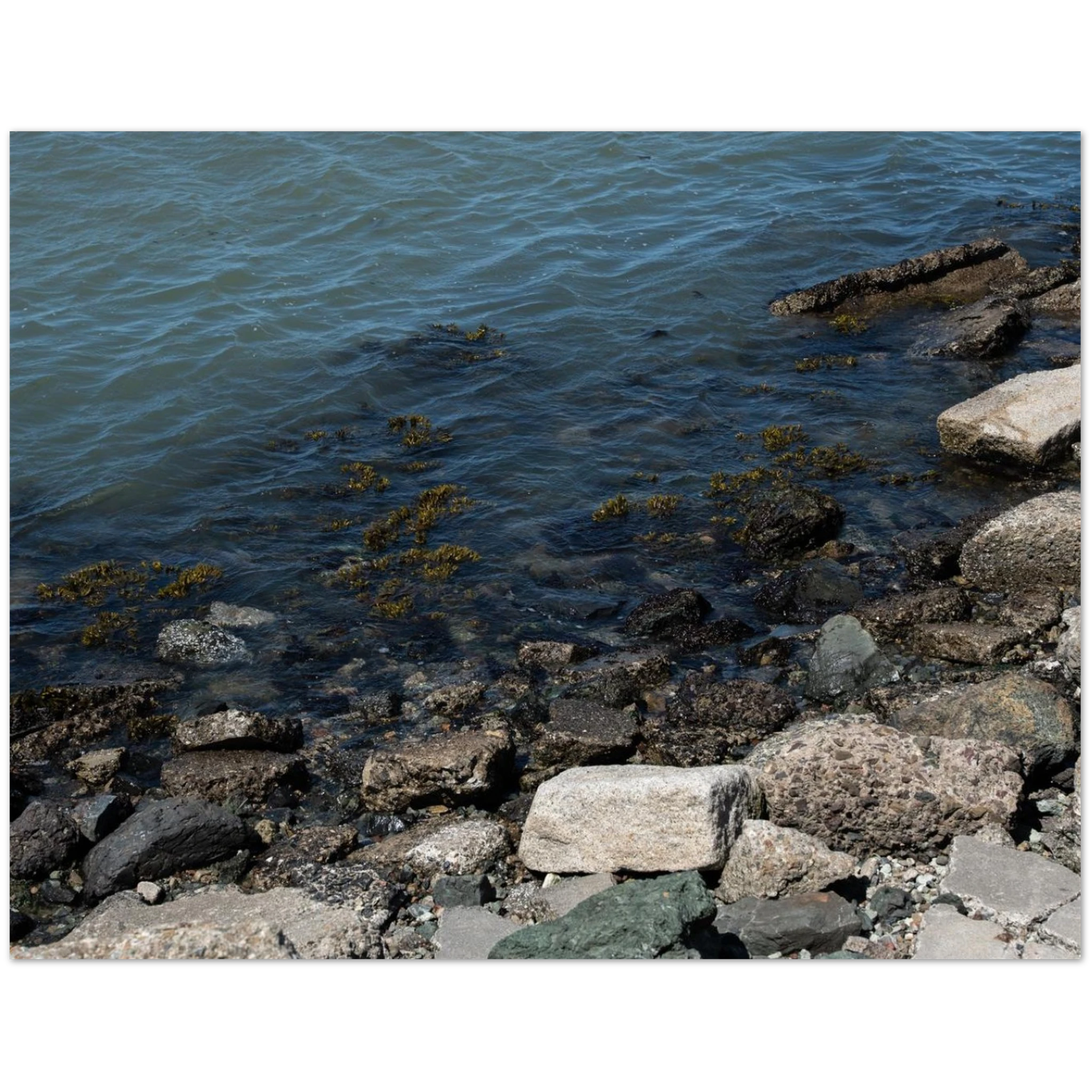 0e6bdf9e-158c-4323-9866-ff82f3a8fc7b