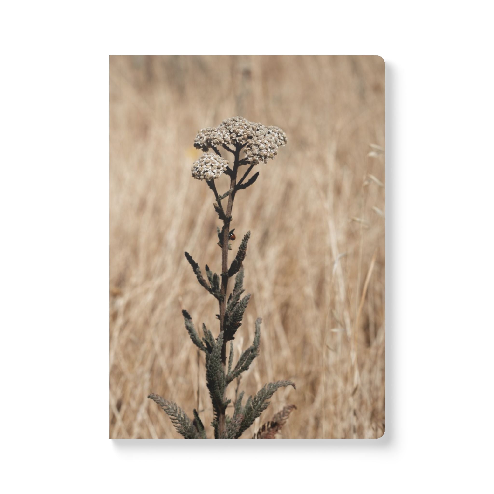 Wellness Reflection Journal – Basin of Beauty 11 – Softcover – Mindful Writing Notebook for Personal Growth & Daily Reflection