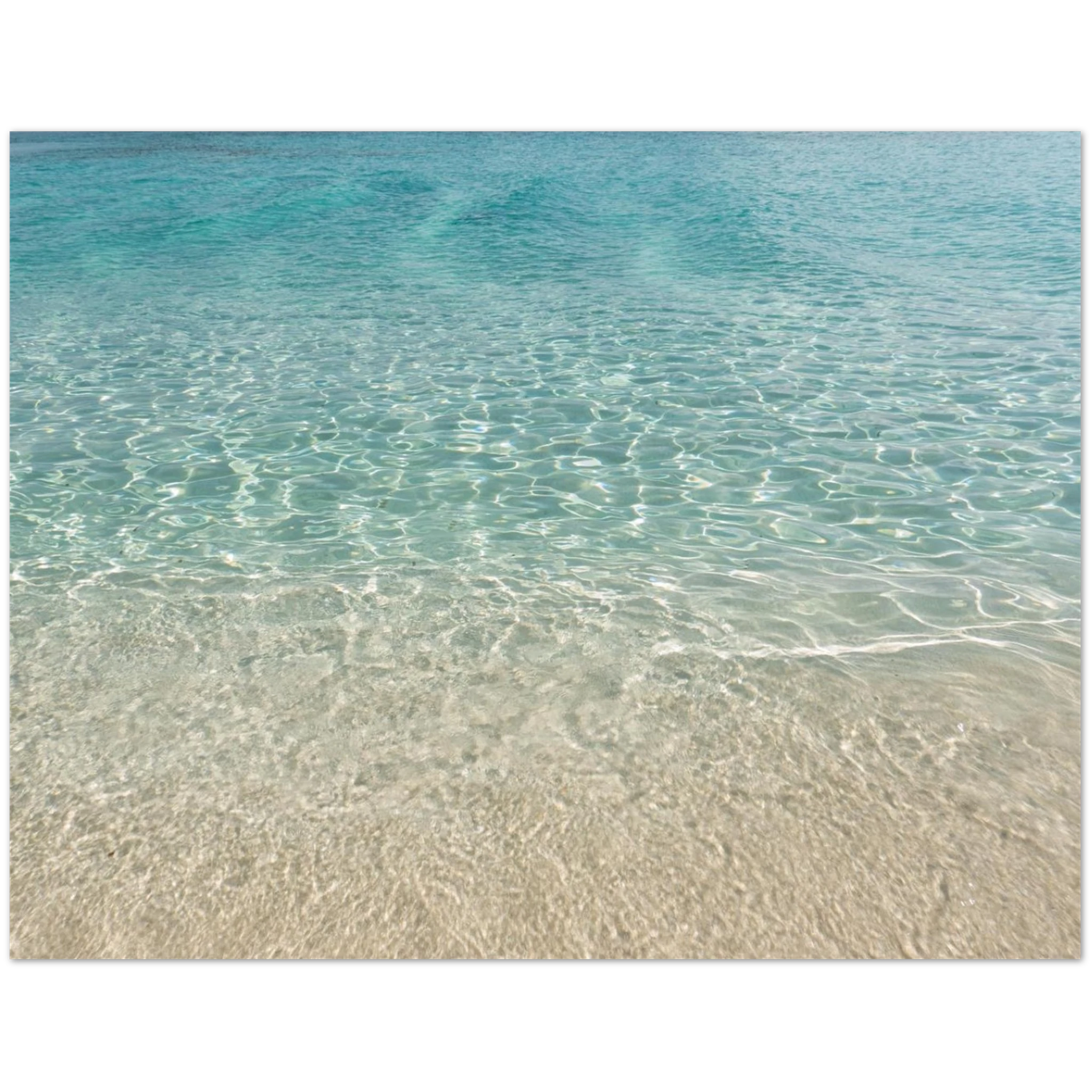 23e60450-a8ec-4832-9e59-3cf11c678dcb