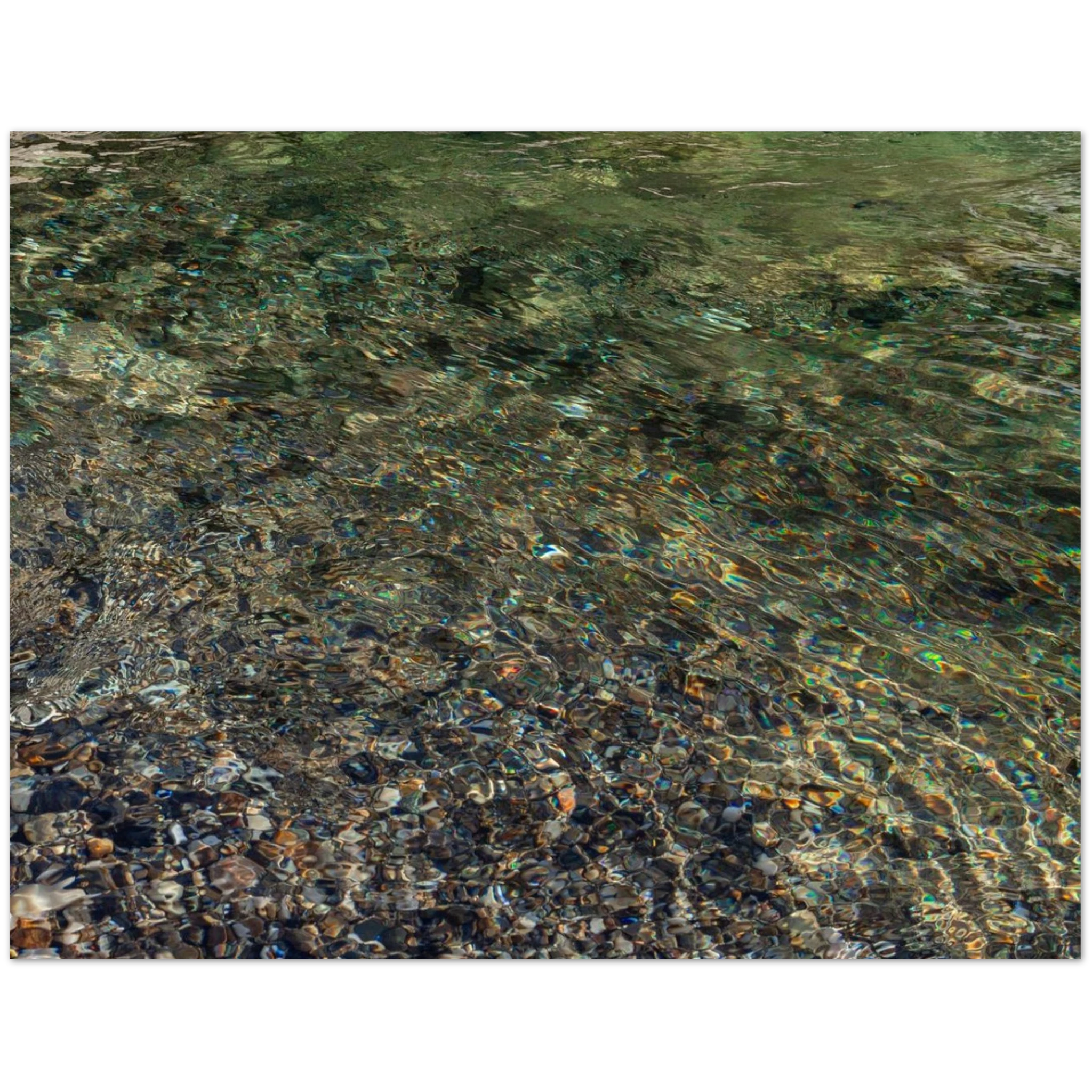 29b1593a-3540-4966-a4d5-2f28f74839ec