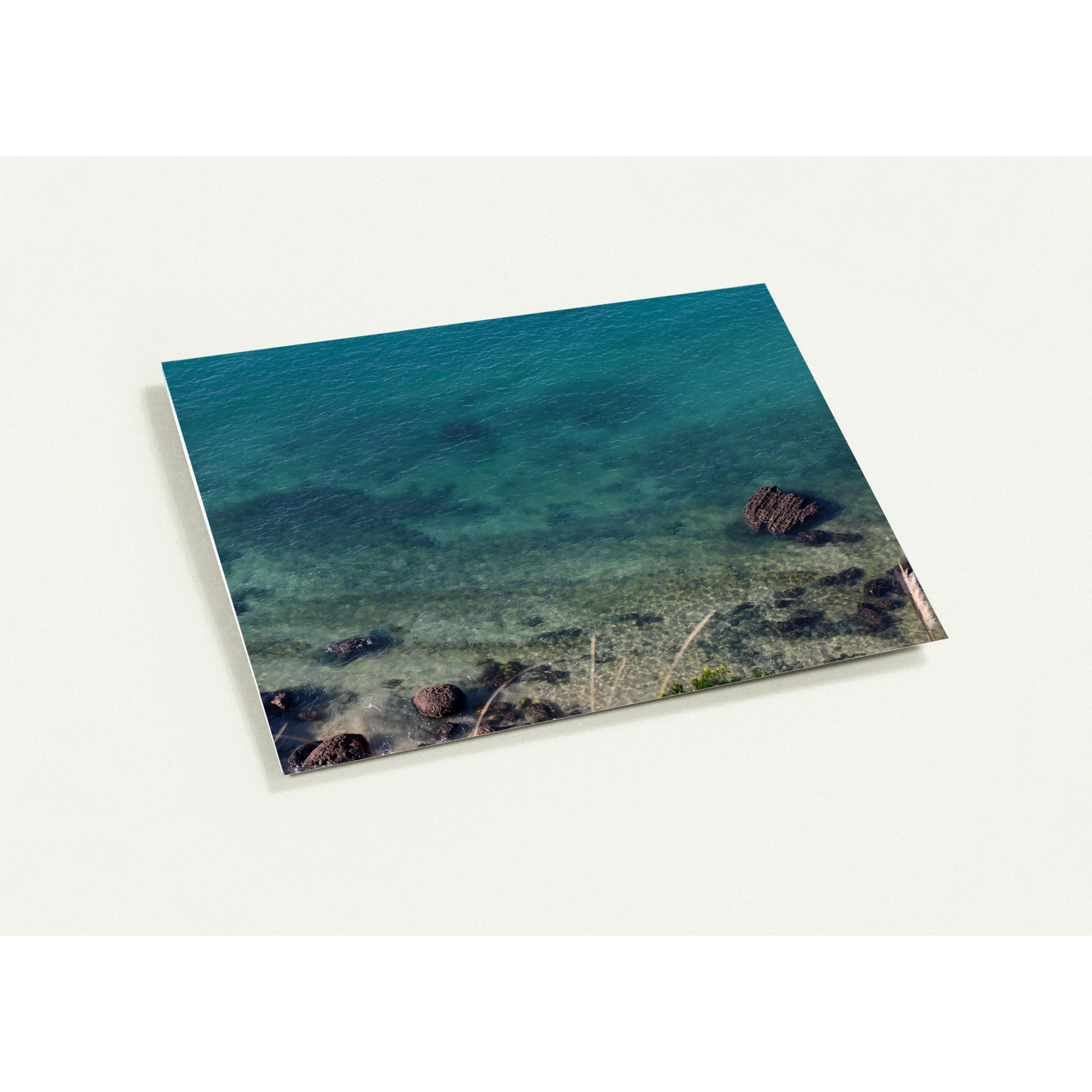 2efae0eb-5a9f-489c-b01f-9c549a74fb44