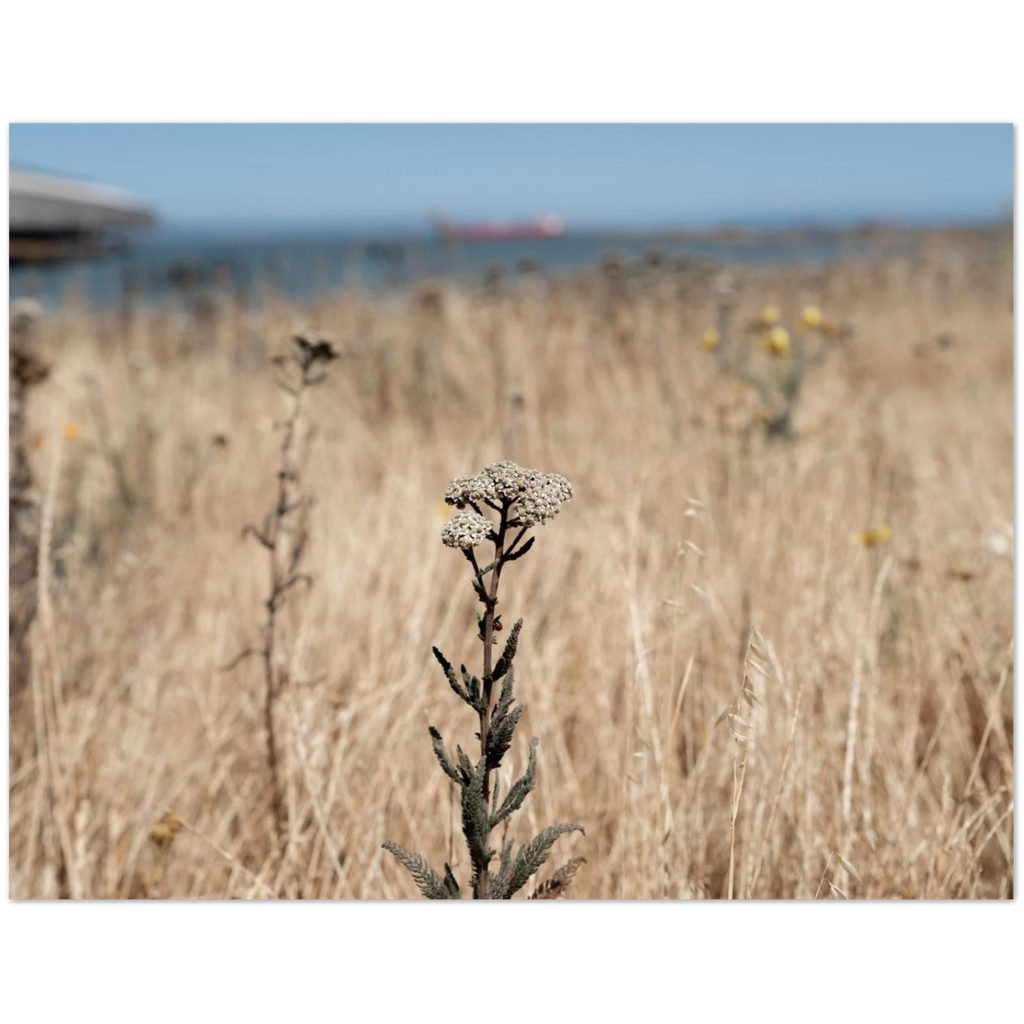 30900cb1-2985-460a-b928-0677300f4f27