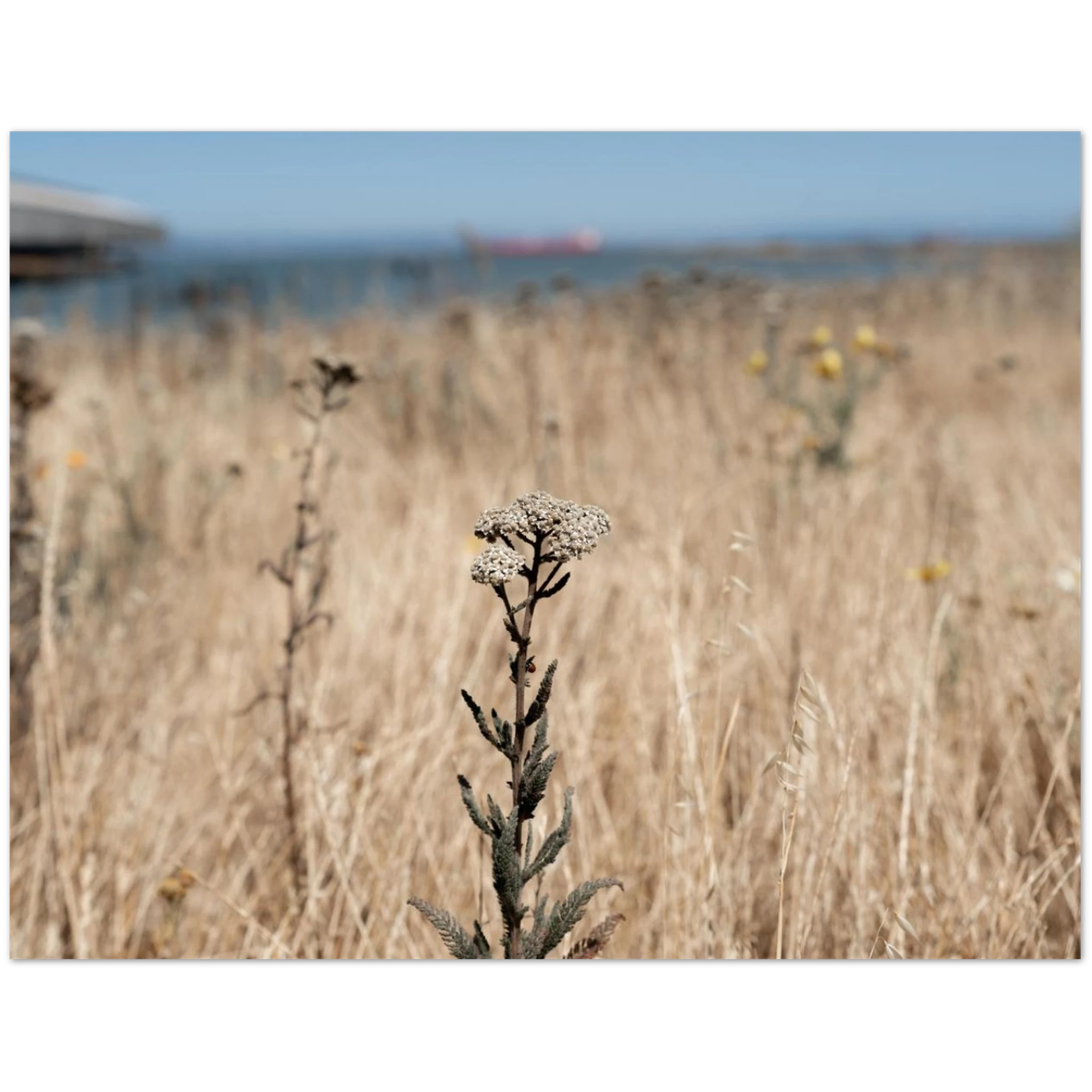 30900cb1-2985-460a-b928-0677300f4f27