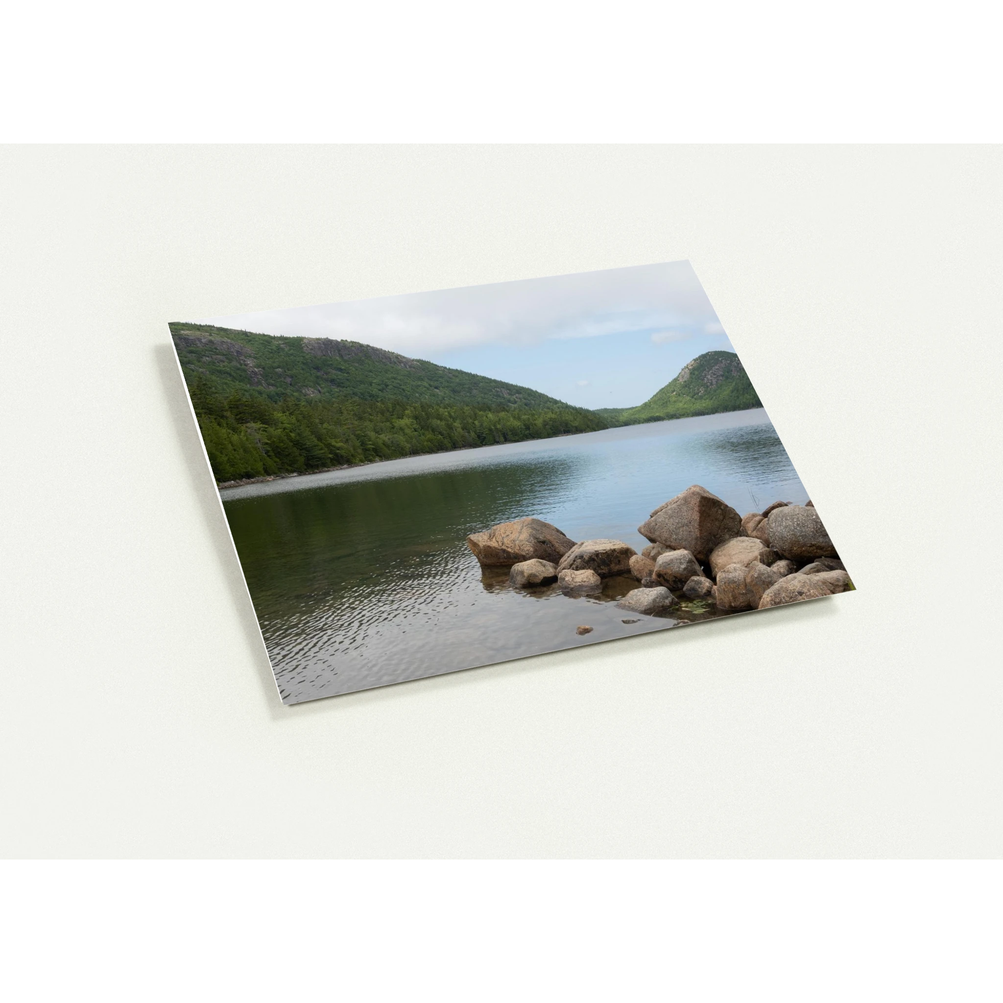 367415bf-ab1e-498c-9f10-2a69b4fef502