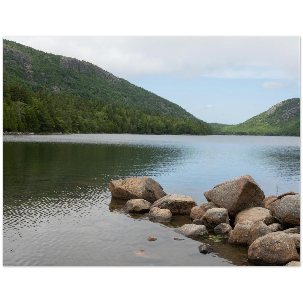 41a26b51-dc63-4eda-91e5-36ce2d25e23d