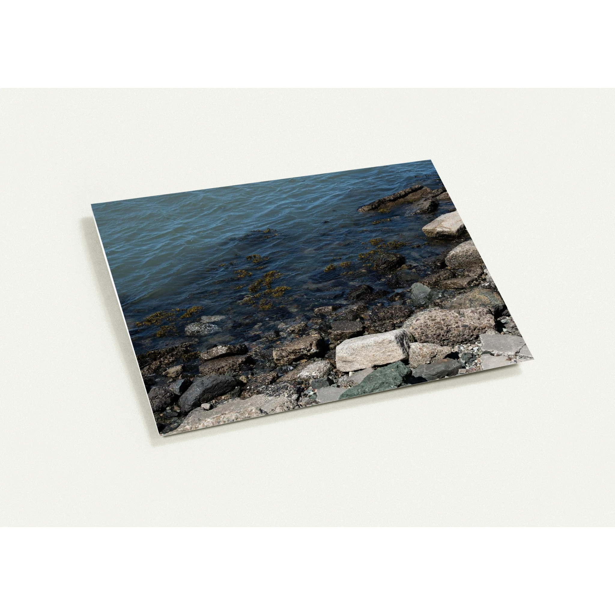 47c57288-0192-40b6-a9ad-b8a2f04f5a28