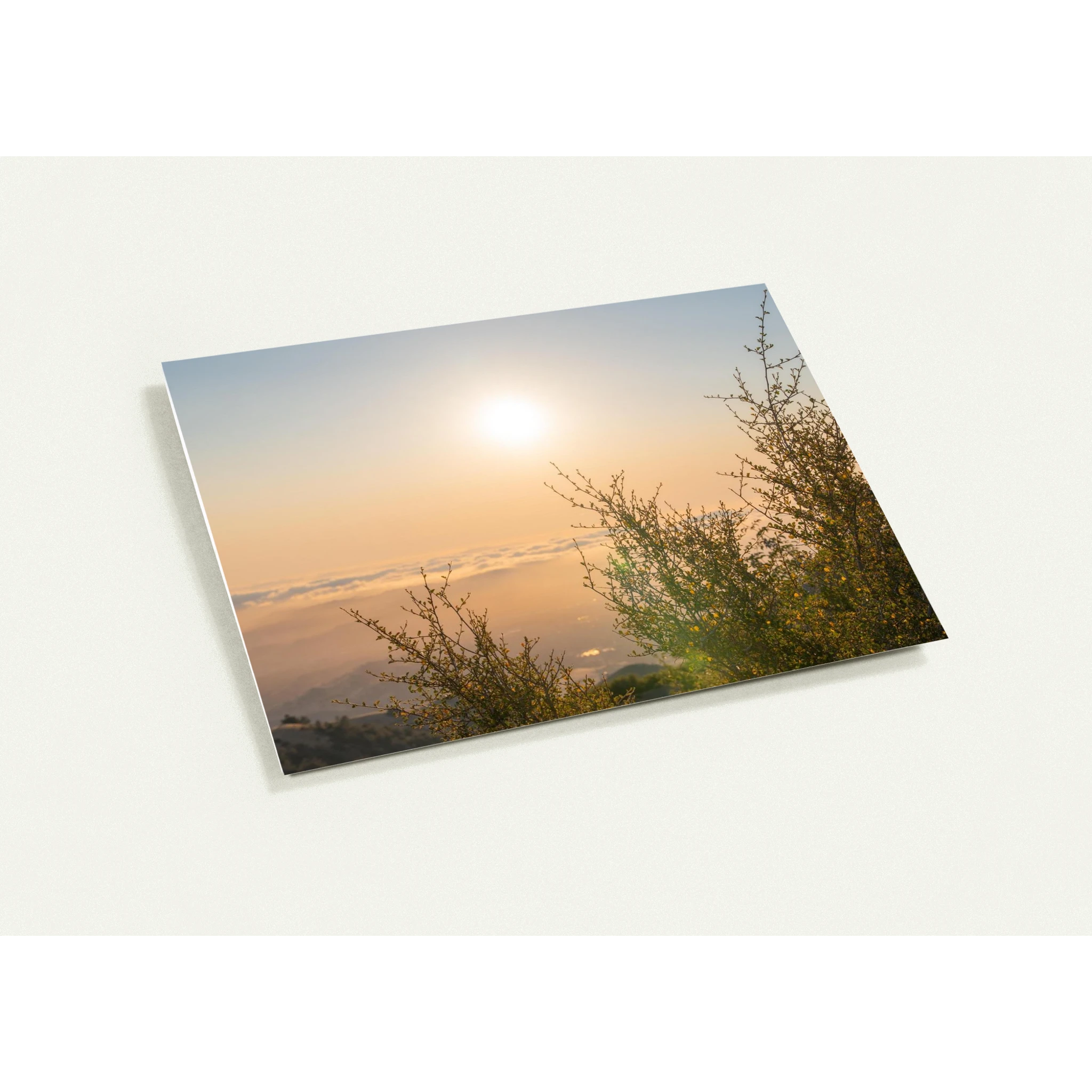 4aa4db1a-0b86-4074-9b5c-317f234da35e