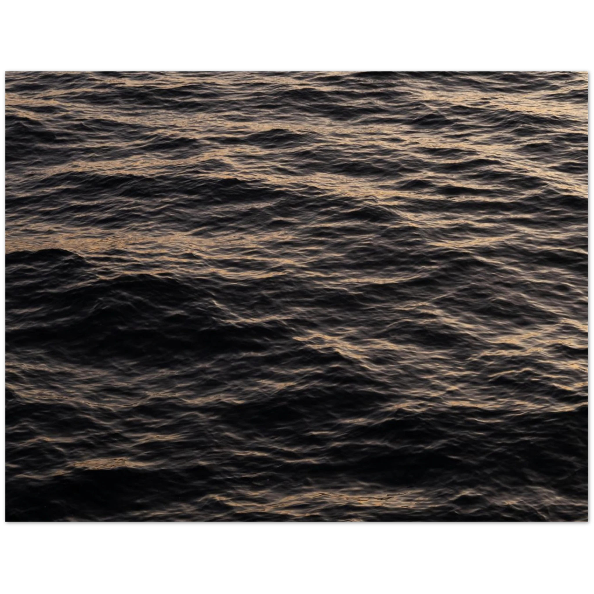 4c6c099a-db26-4fa4-b379-5ddc53096823