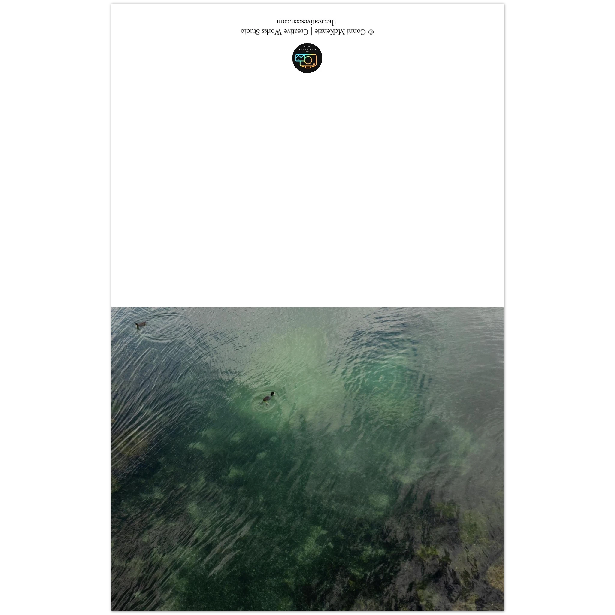 594da93d-3a76-403a-818e-c270f05fea0a