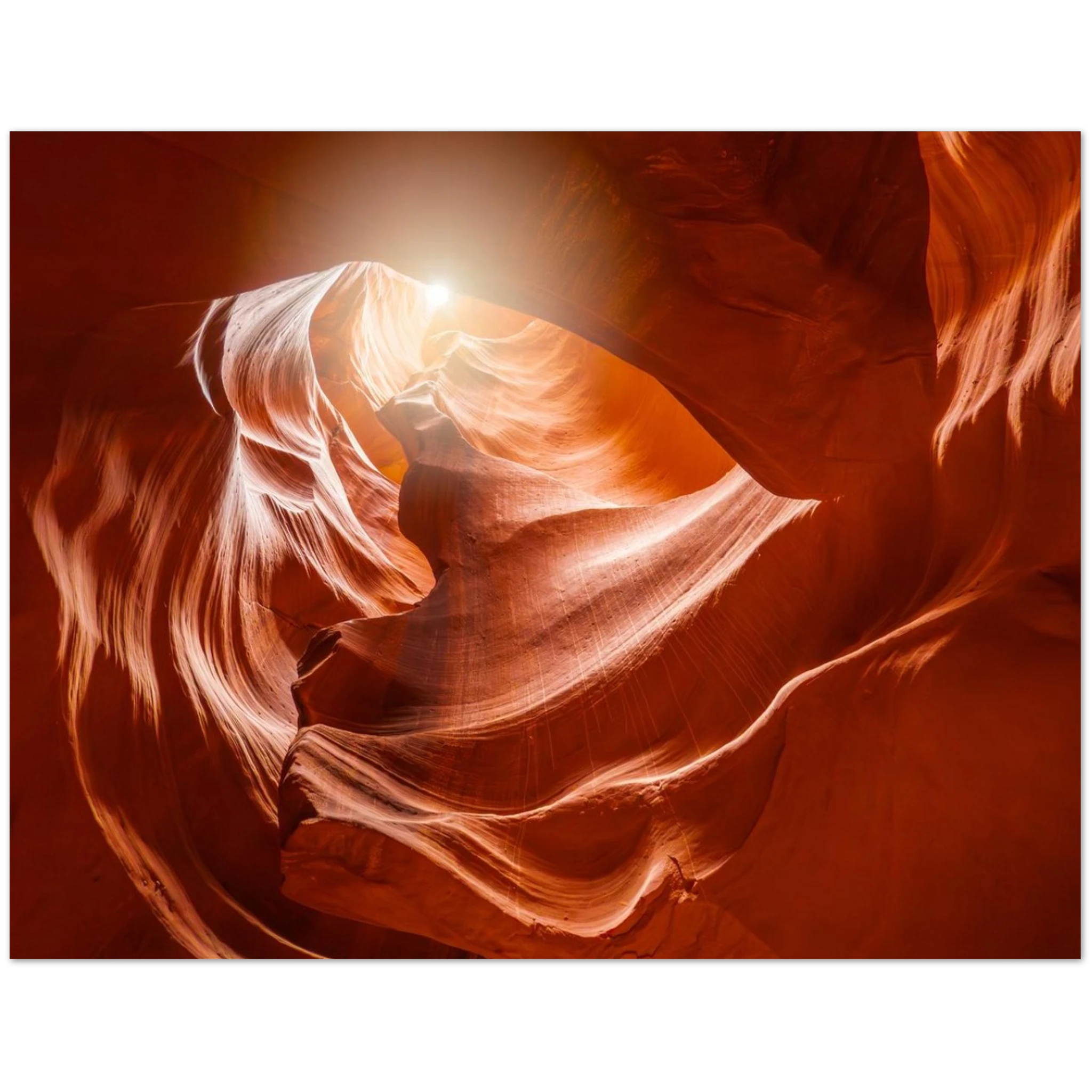 5bf21b83-18d1-47ff-a2e9-0b9baf151152