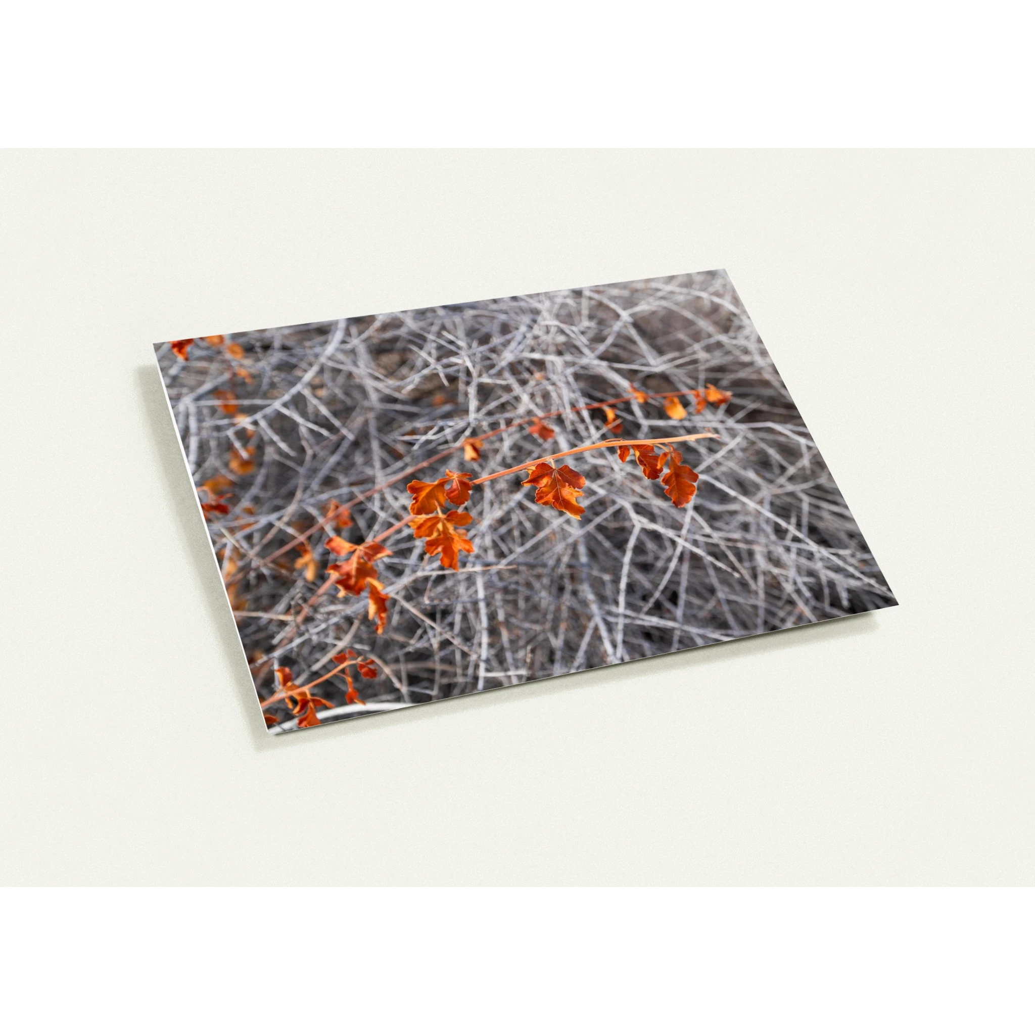 65083a47-ca71-4518-9470-00fc1f0516cf