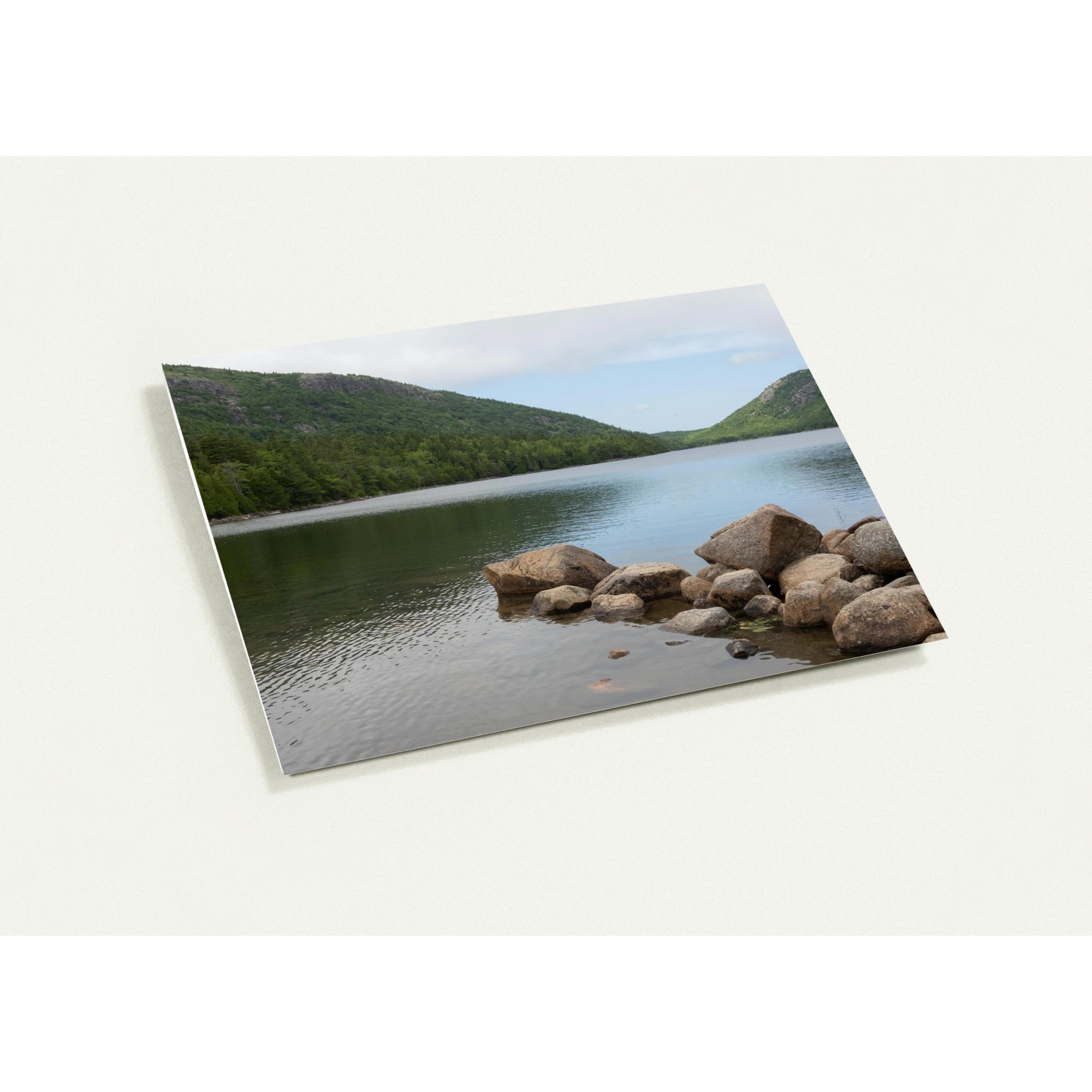 679792c9-c3b5-44b2-907e-390804997471