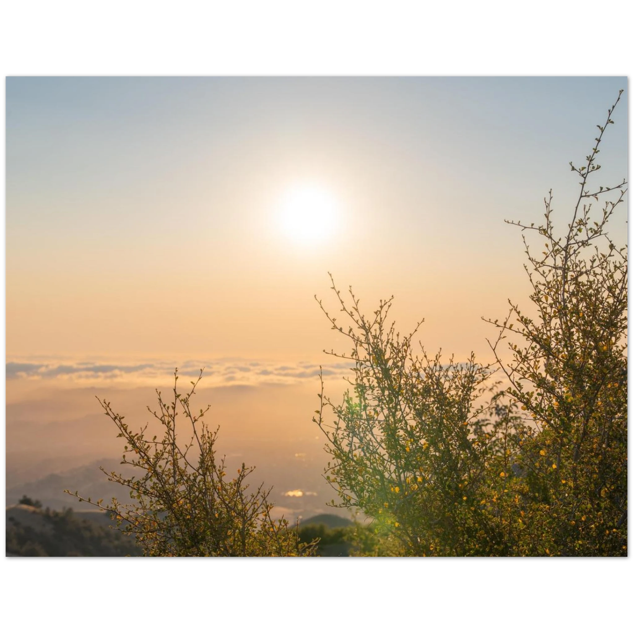 6b6f1fc0-d04a-4198-b271-f301b4943b12