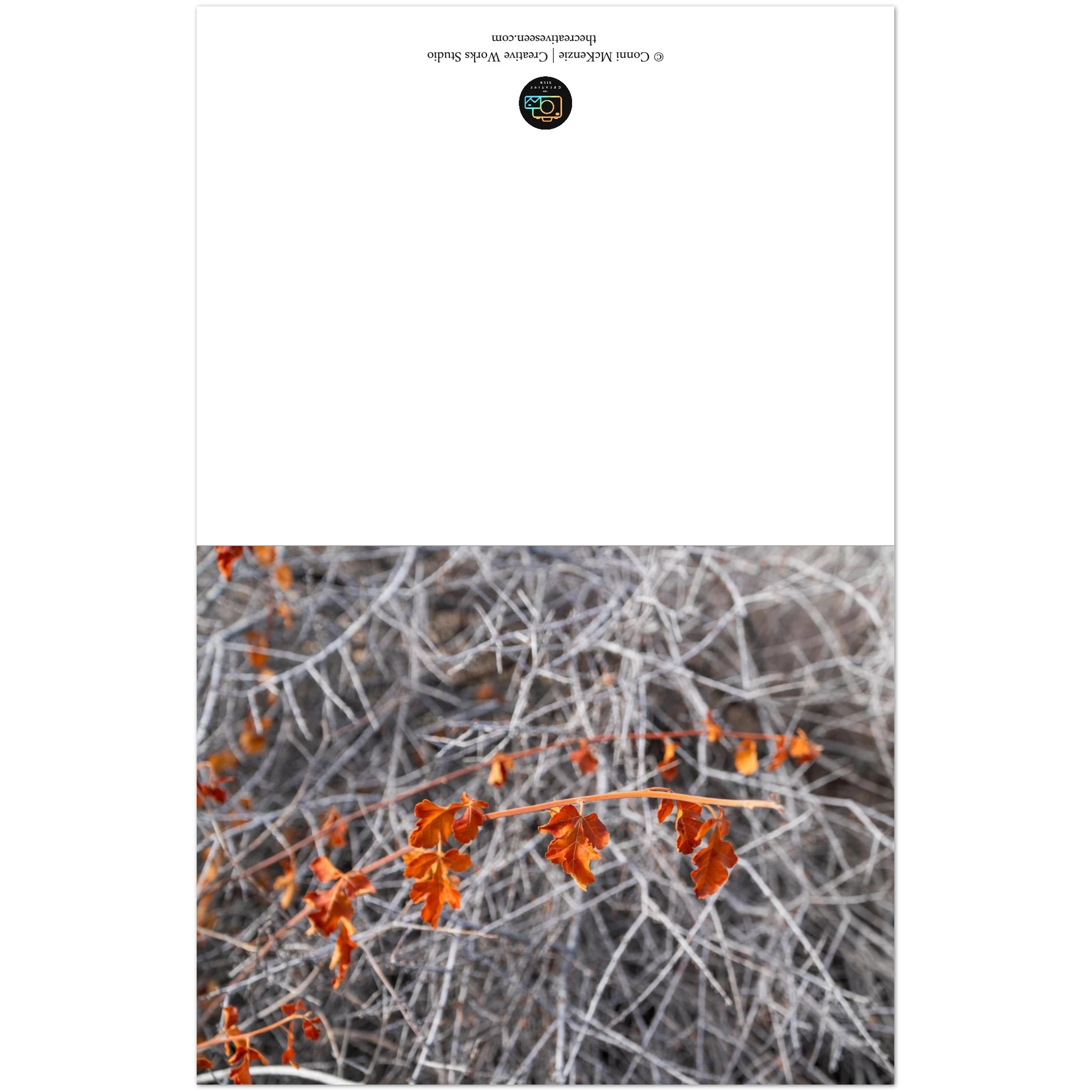 7f499c93-80b5-4b1f-a87f-5d52f6275c2d