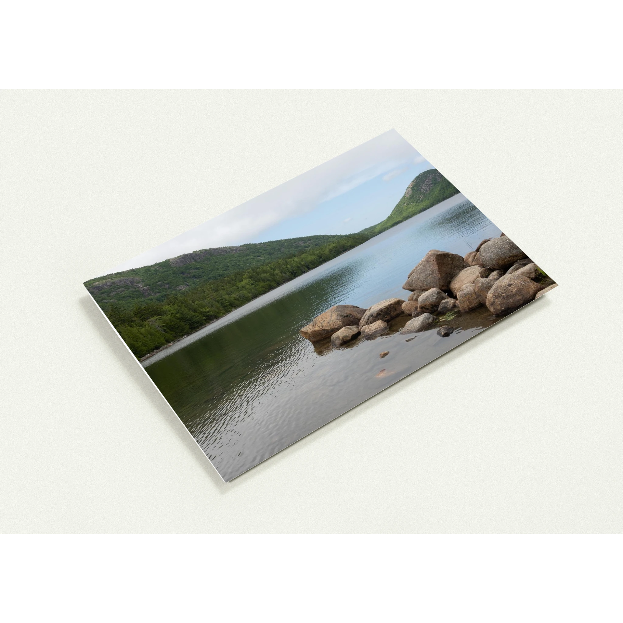 815f1ed2-0804-4064-a3f0-3881258c2e8e