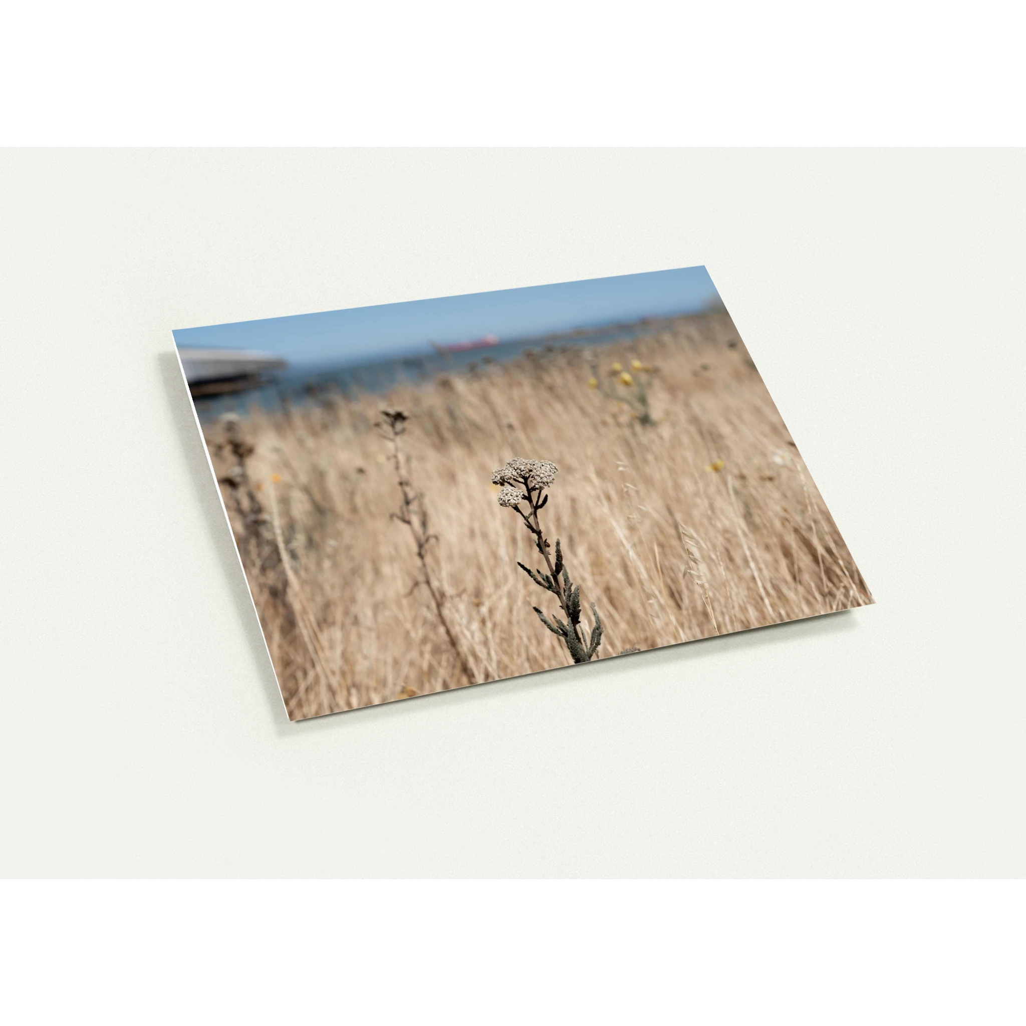 81ab4bb5-1f28-4a4b-b02a-cb0eeda0d3ca