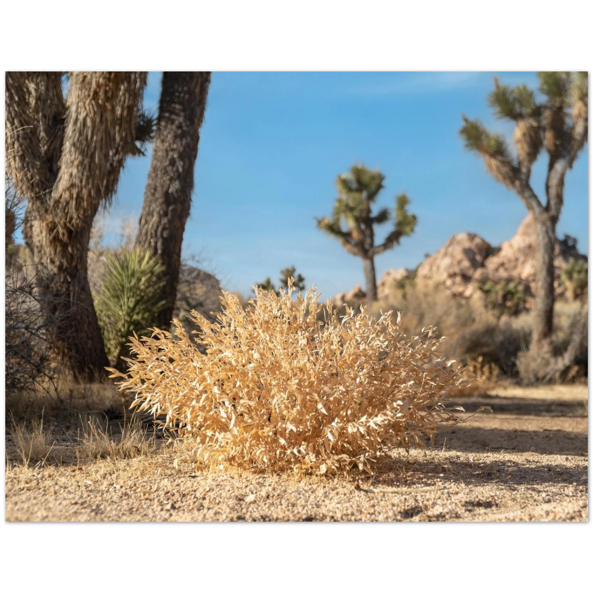 89868f24-f413-4cd7-bafa-dd57d56e0907