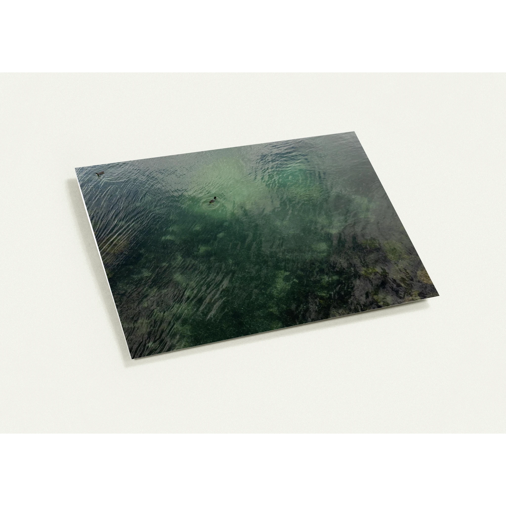 8fc196cc-24cb-4999-bf2c-ae38eb8f892c