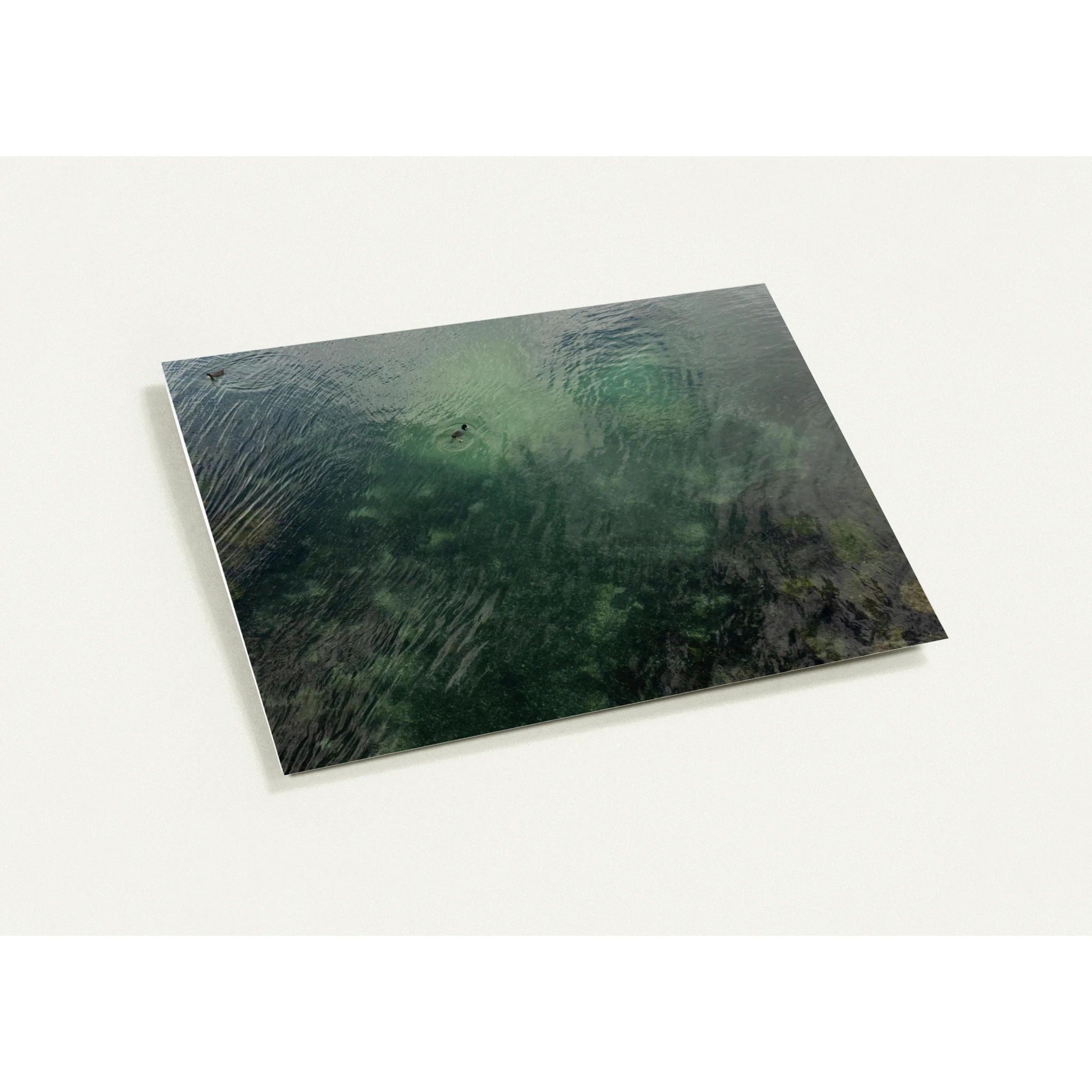 8fc196cc-24cb-4999-bf2c-ae38eb8f892c