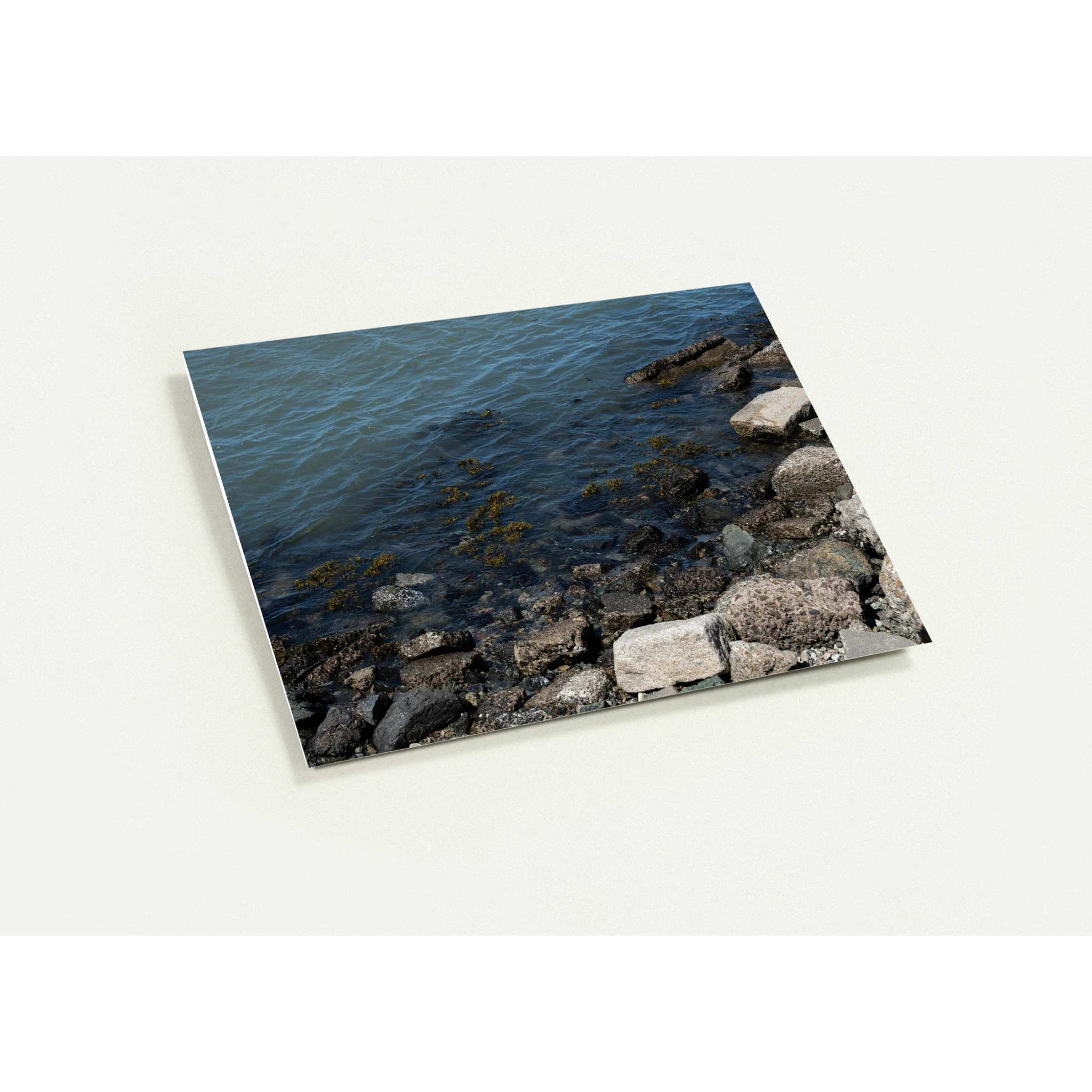 916acb9c-03f8-4141-9c51-550ed928e749