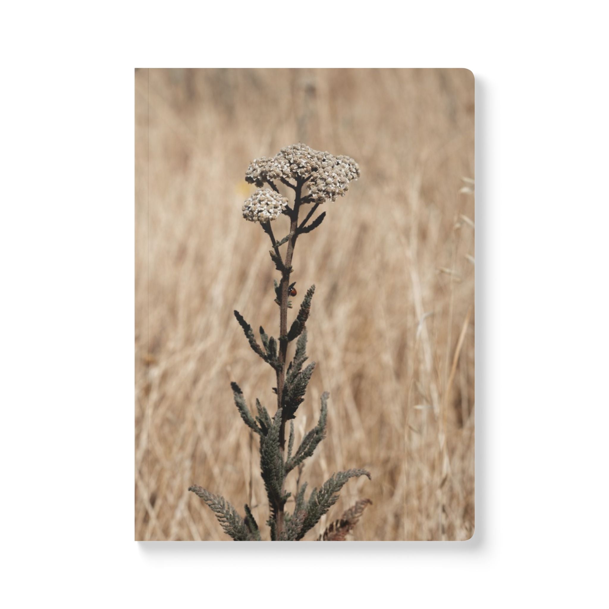 Wellness Reflection Journal – Basin of Beauty 11 – Softcover – Mindful Writing Notebook for Personal Growth & Daily Reflection