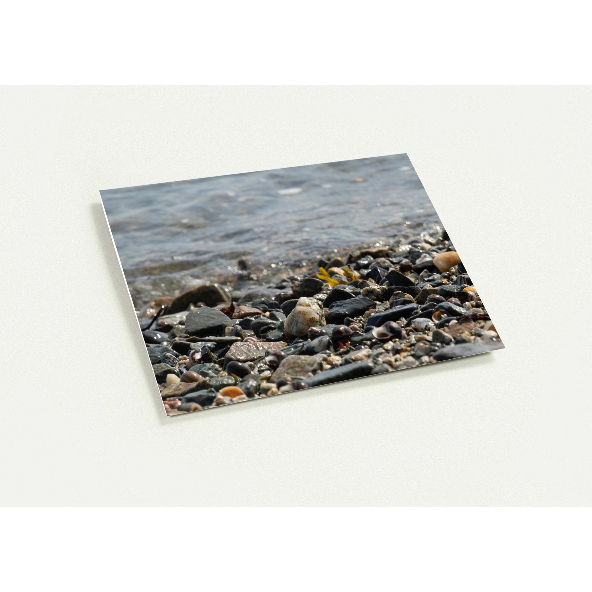 9294f63c-bd95-40b9-a5a7-a40507c38549