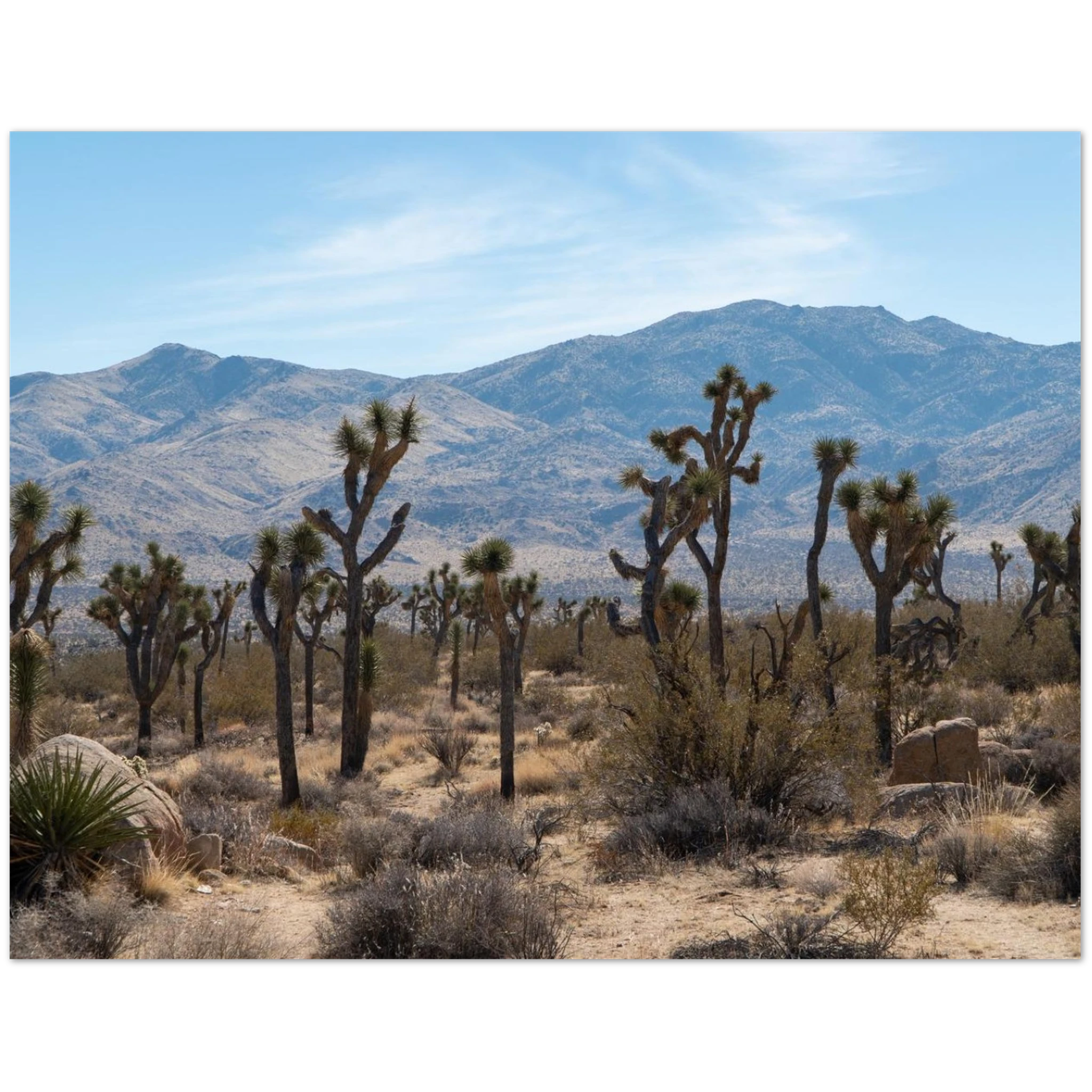 9687abbd-35c3-4a23-9c06-db8f3f0bf25c