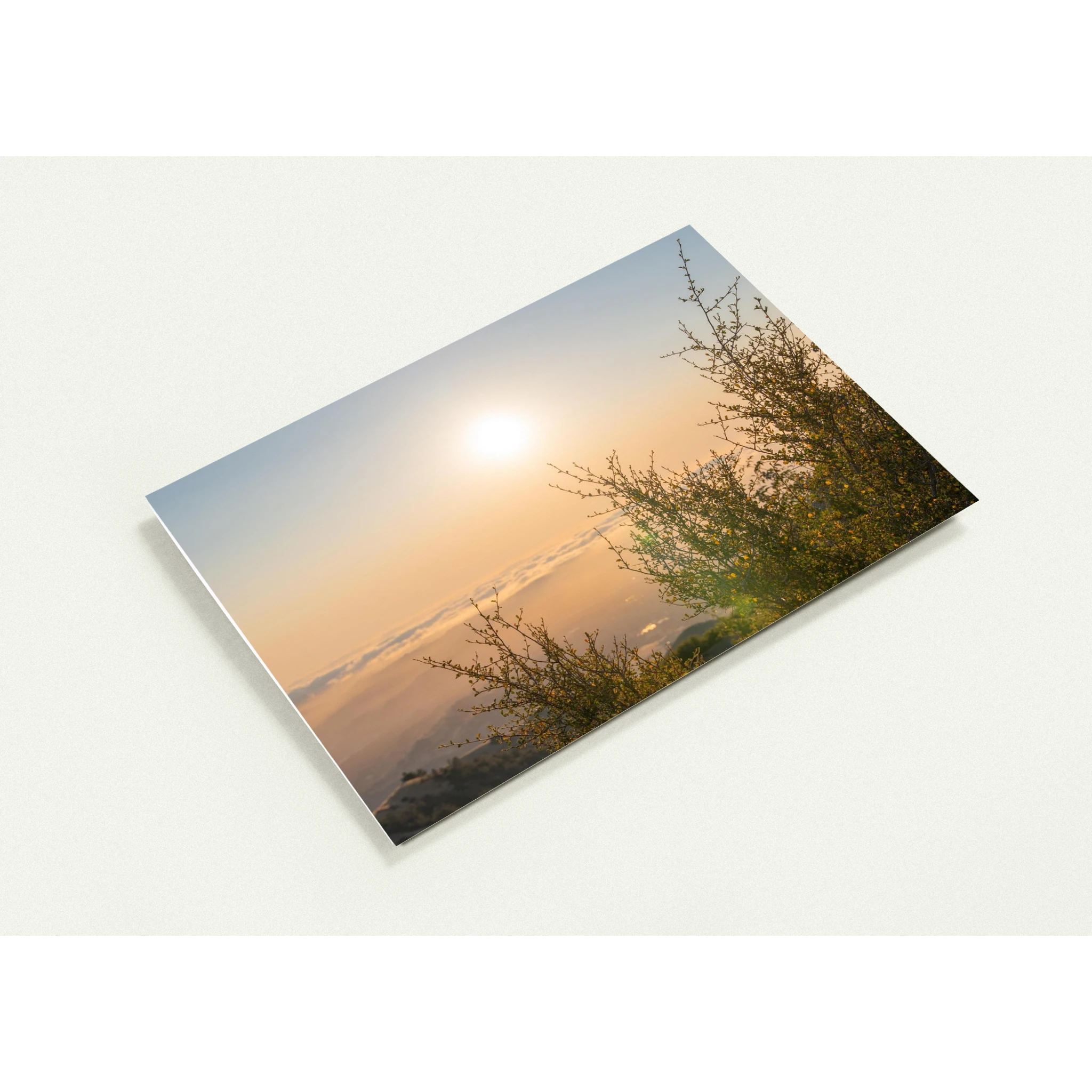 98965246-78a5-4fae-a7eb-65366ac2c546