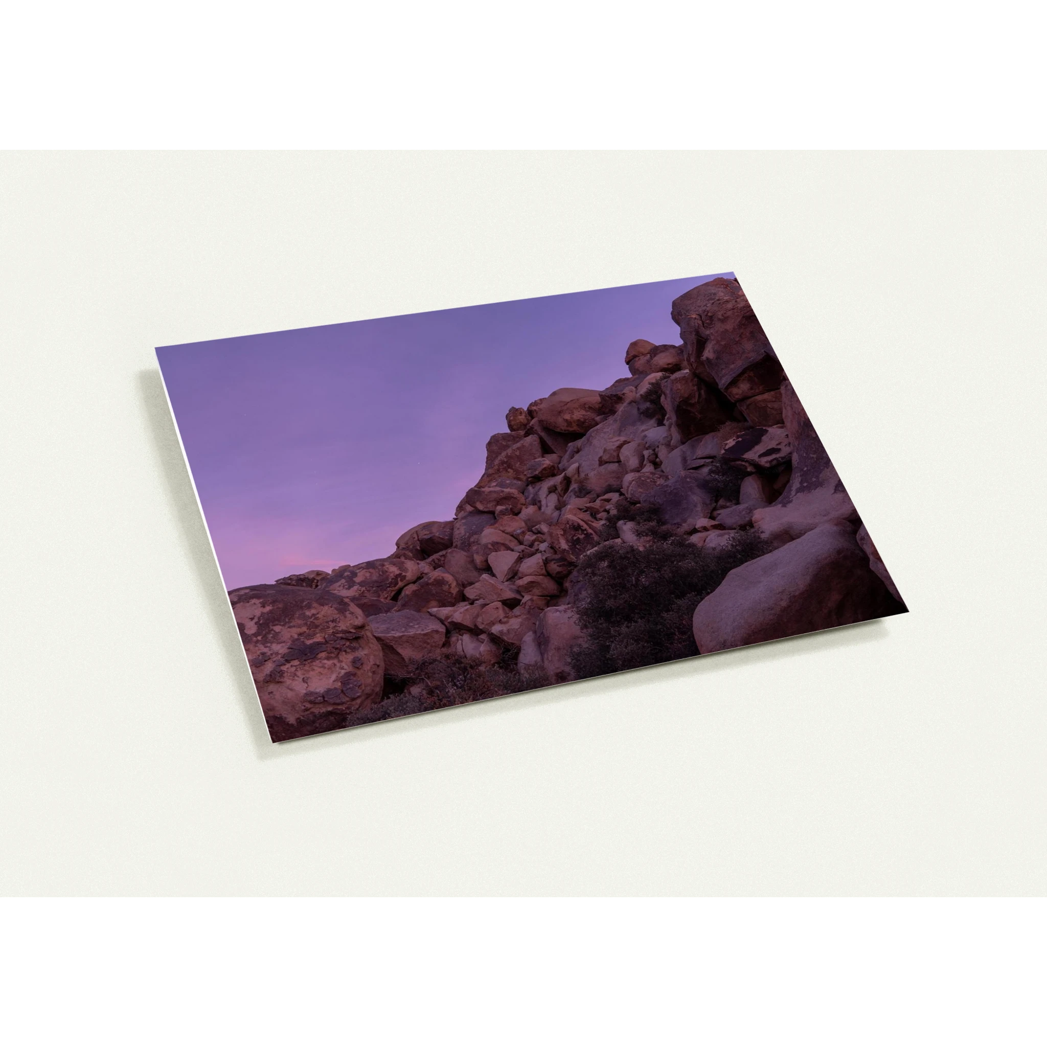 b03f8abd-70ed-4cde-84f7-146be9304bd5