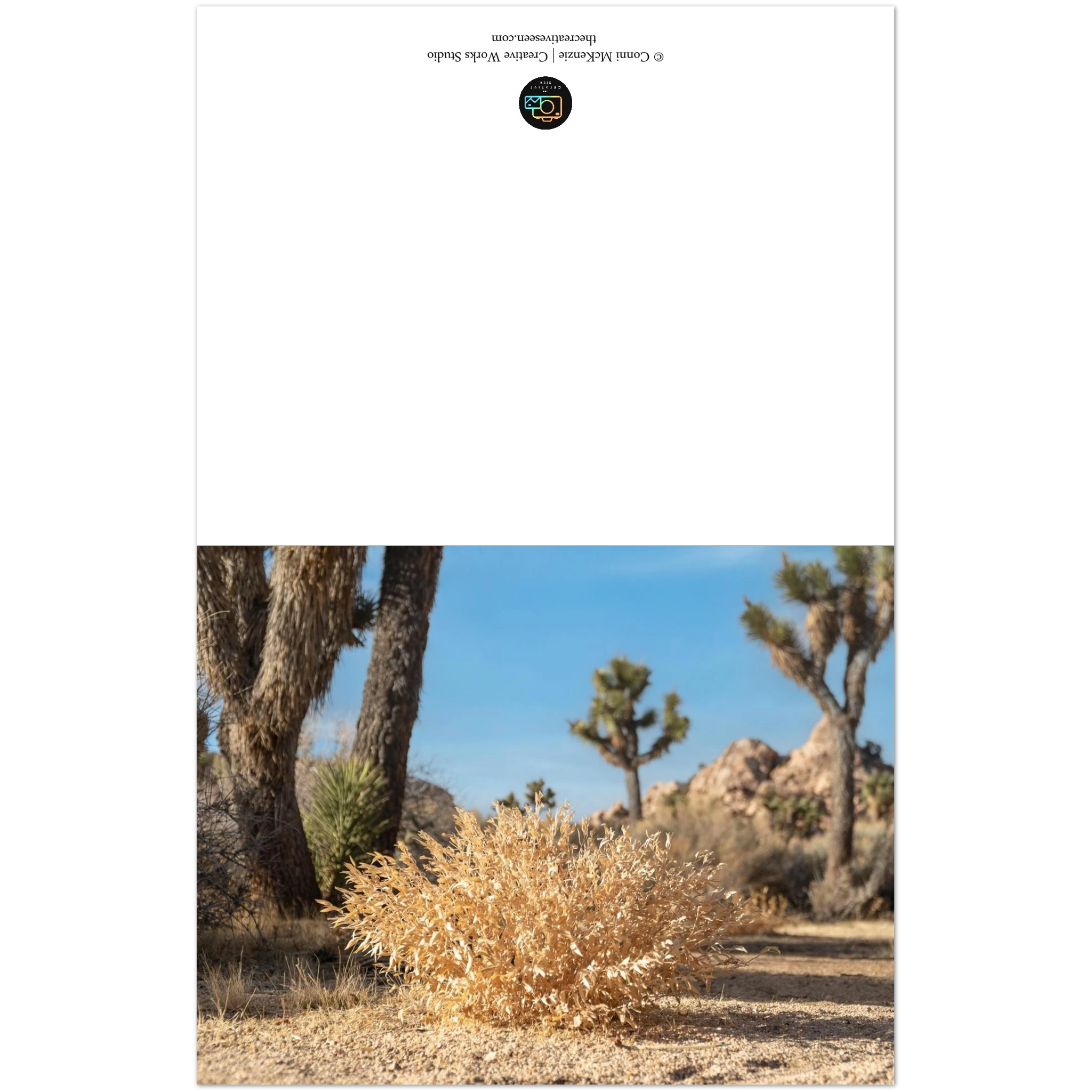 b36e9b4d-d21a-4c7b-8e2c-18b191d9cba9