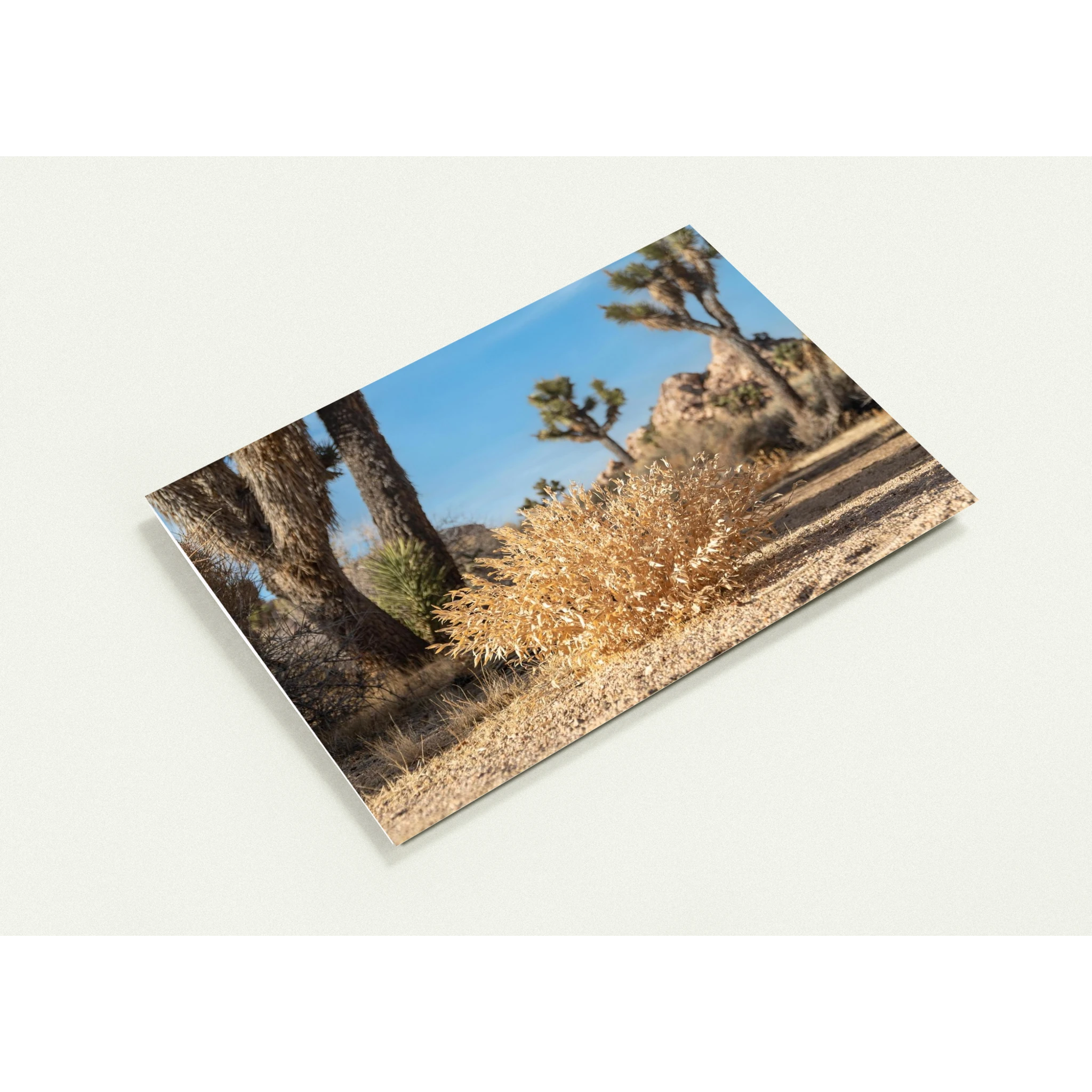 b7c0911b-af94-40c3-9dd1-b8b25823b8cf