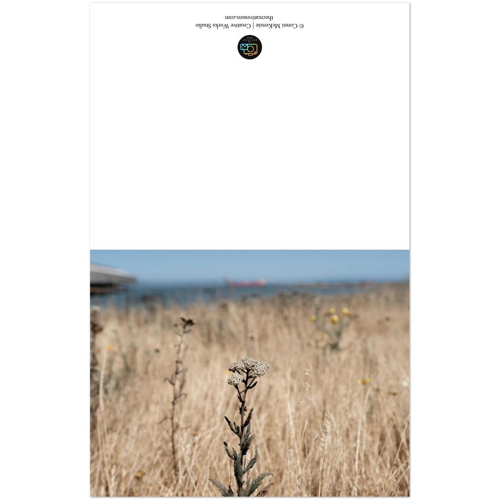 bc8cf5b6-56d1-46d8-877f-380a17693b62