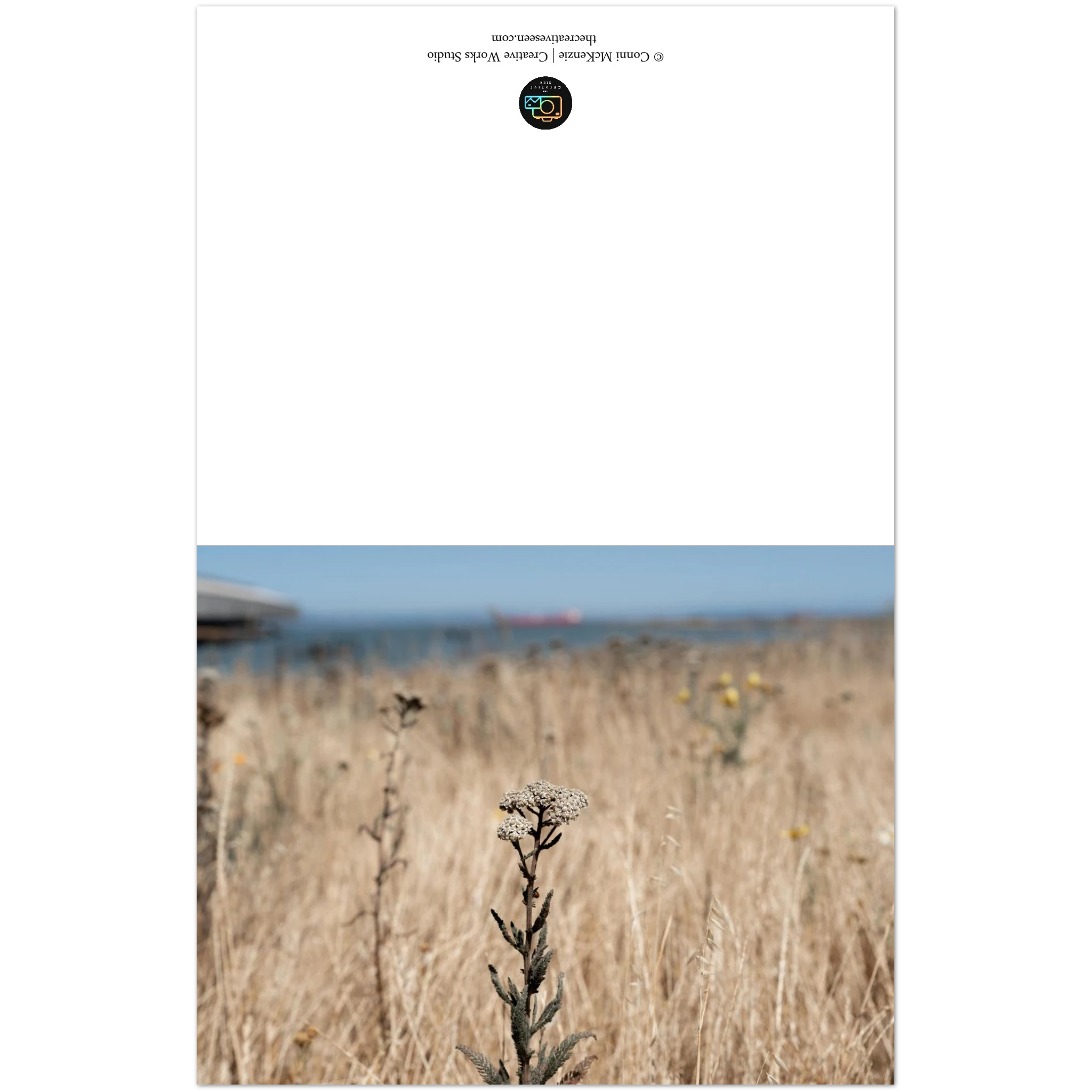 bc8cf5b6-56d1-46d8-877f-380a17693b62