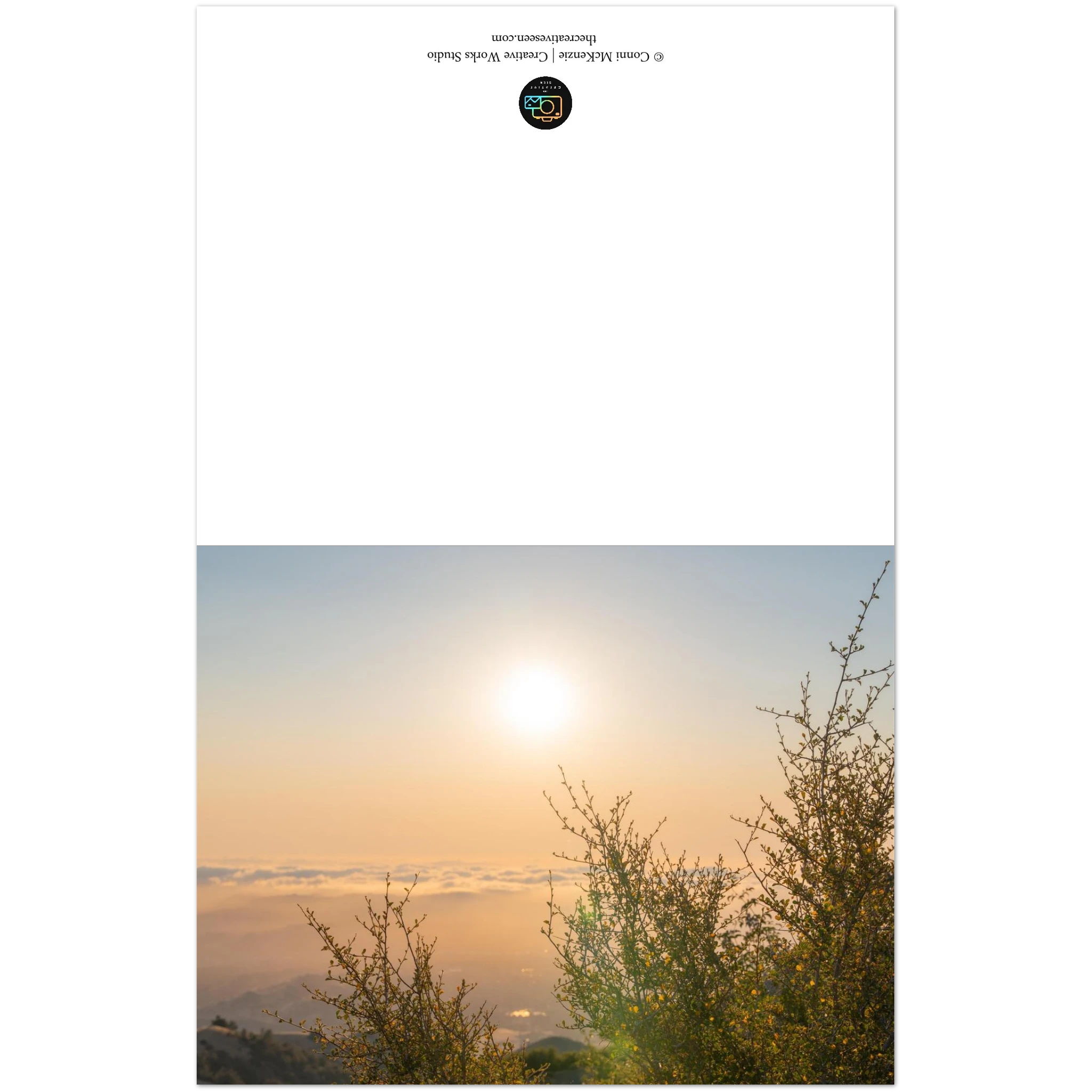 c8da619c-229b-4746-9159-f056d974a451