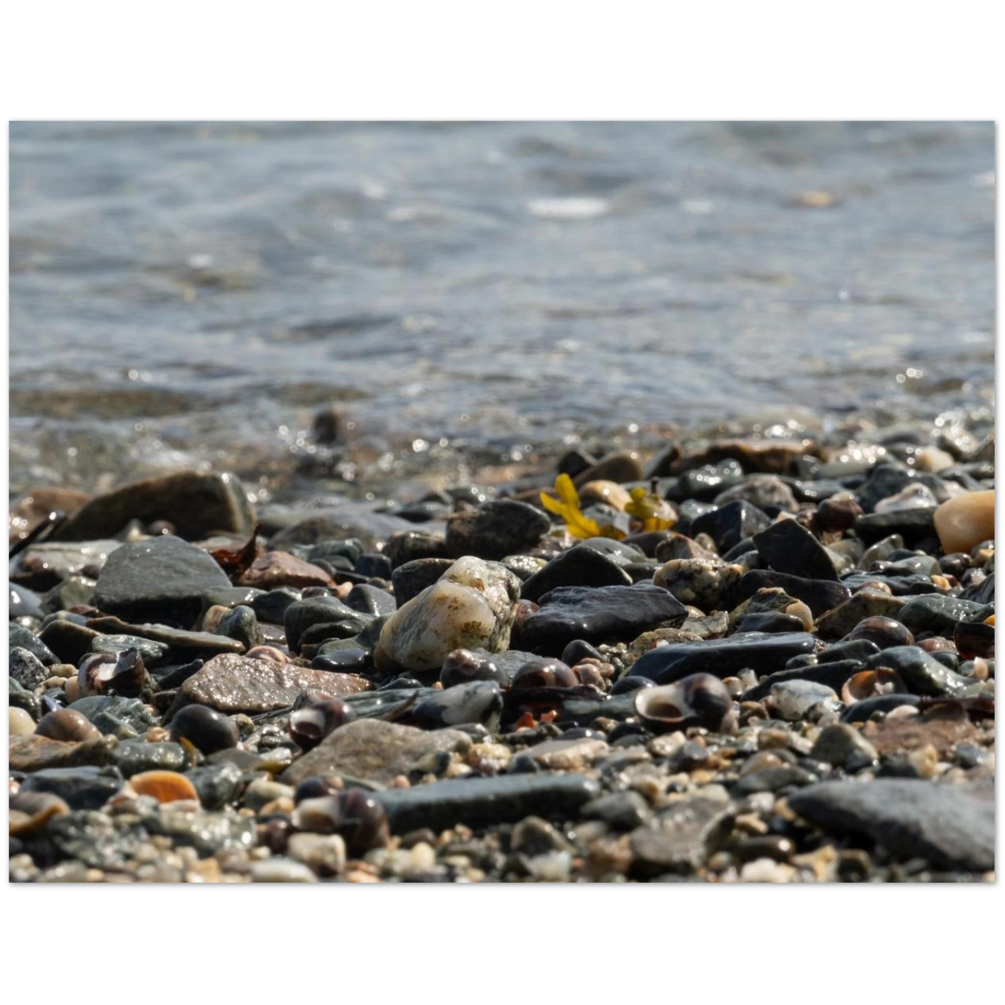 cf35f3fb-c92b-492a-a3a9-99bf13a68892