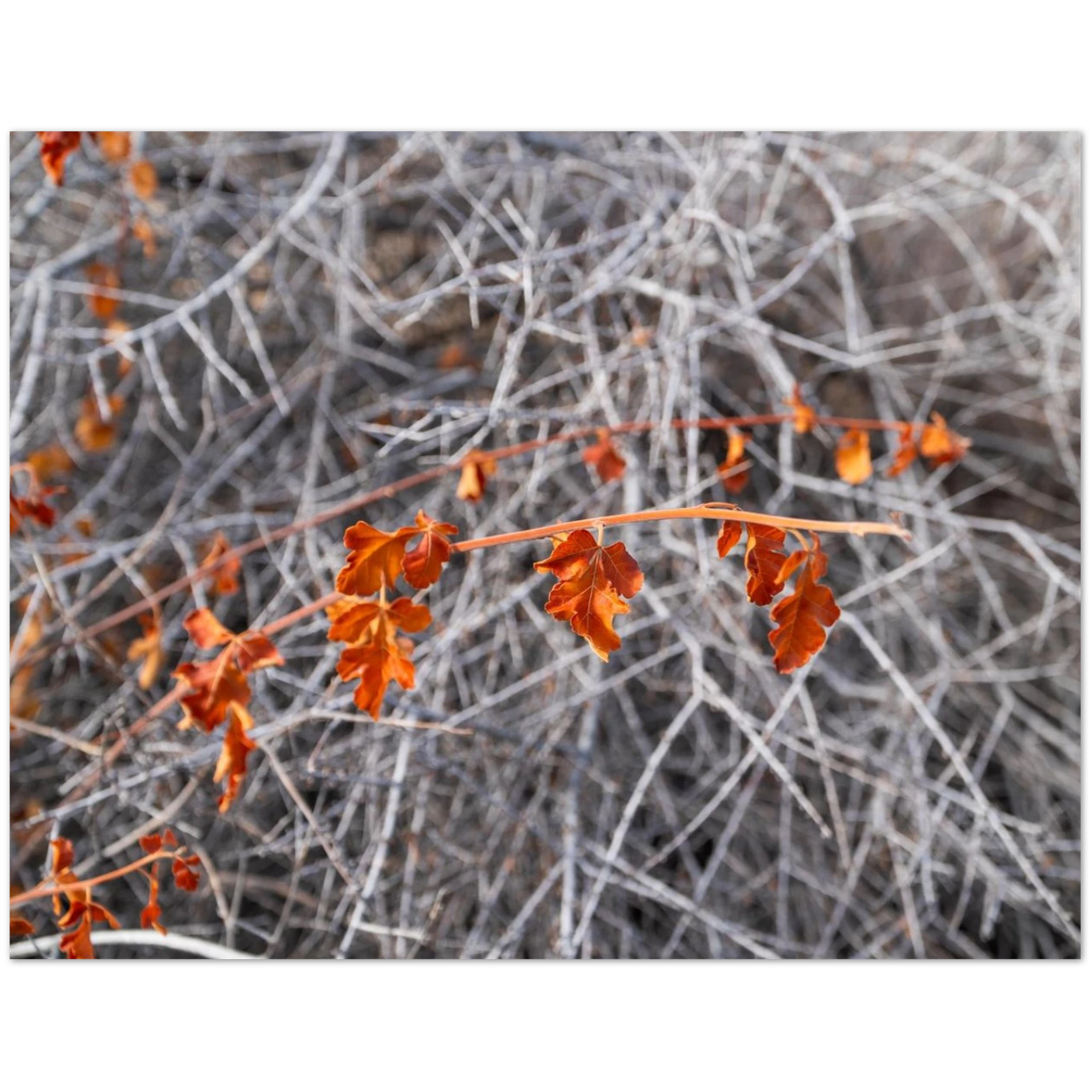 d0cee283-be93-42f7-bc5b-ce21208880d0