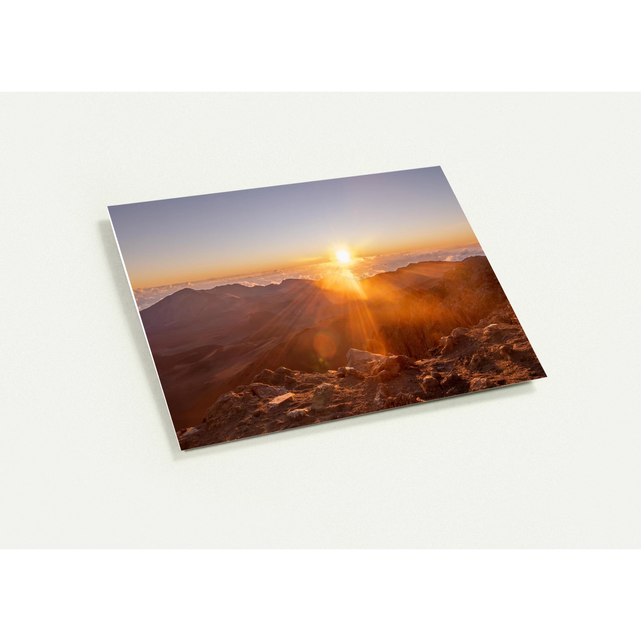 d0d38396-b3cd-4629-8866-3104200ab098