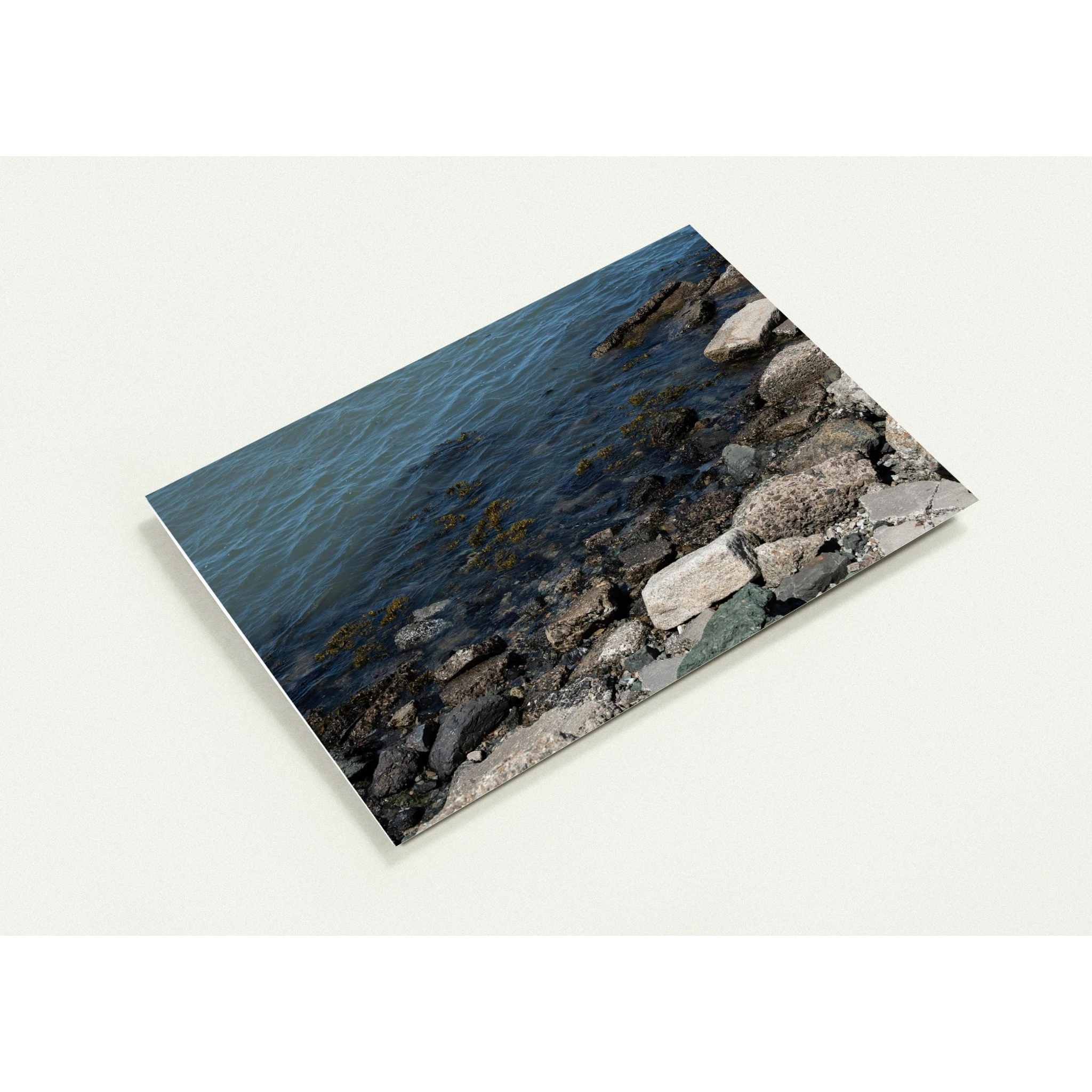 d7fb58c5-8190-4767-ba45-91df97d69a4e