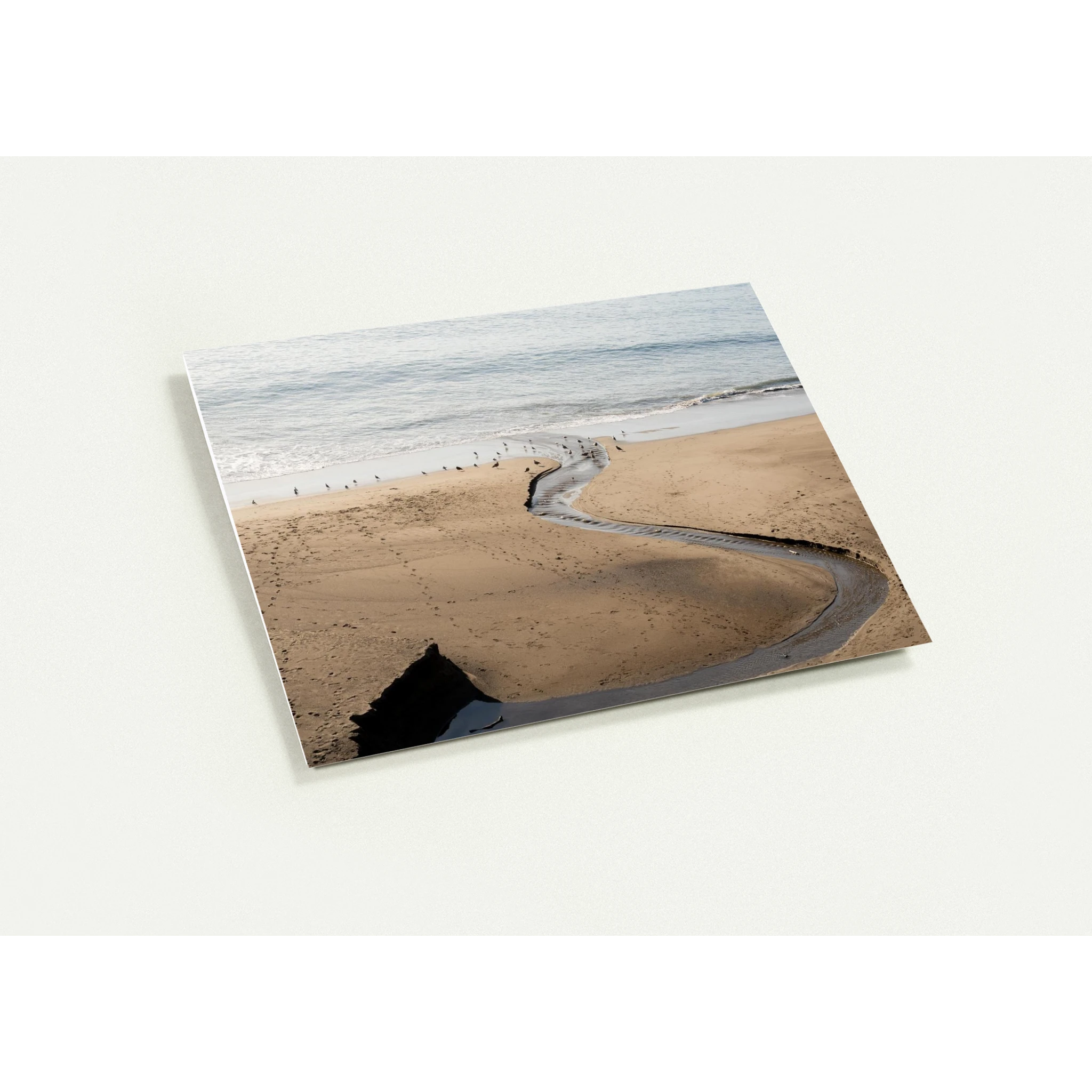 d99fda57-07a4-422e-a616-fd97c8d43ae5