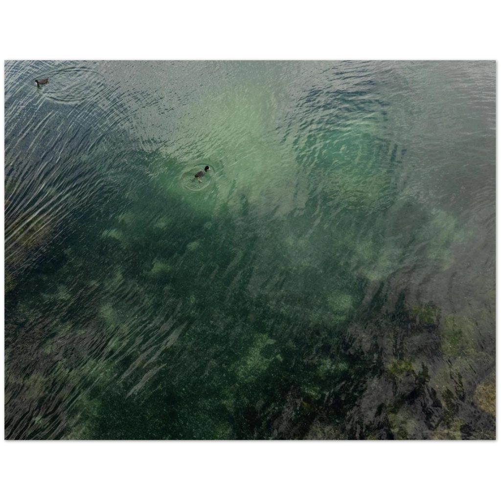 db5f6121-e32f-4911-a978-3842ecc35630