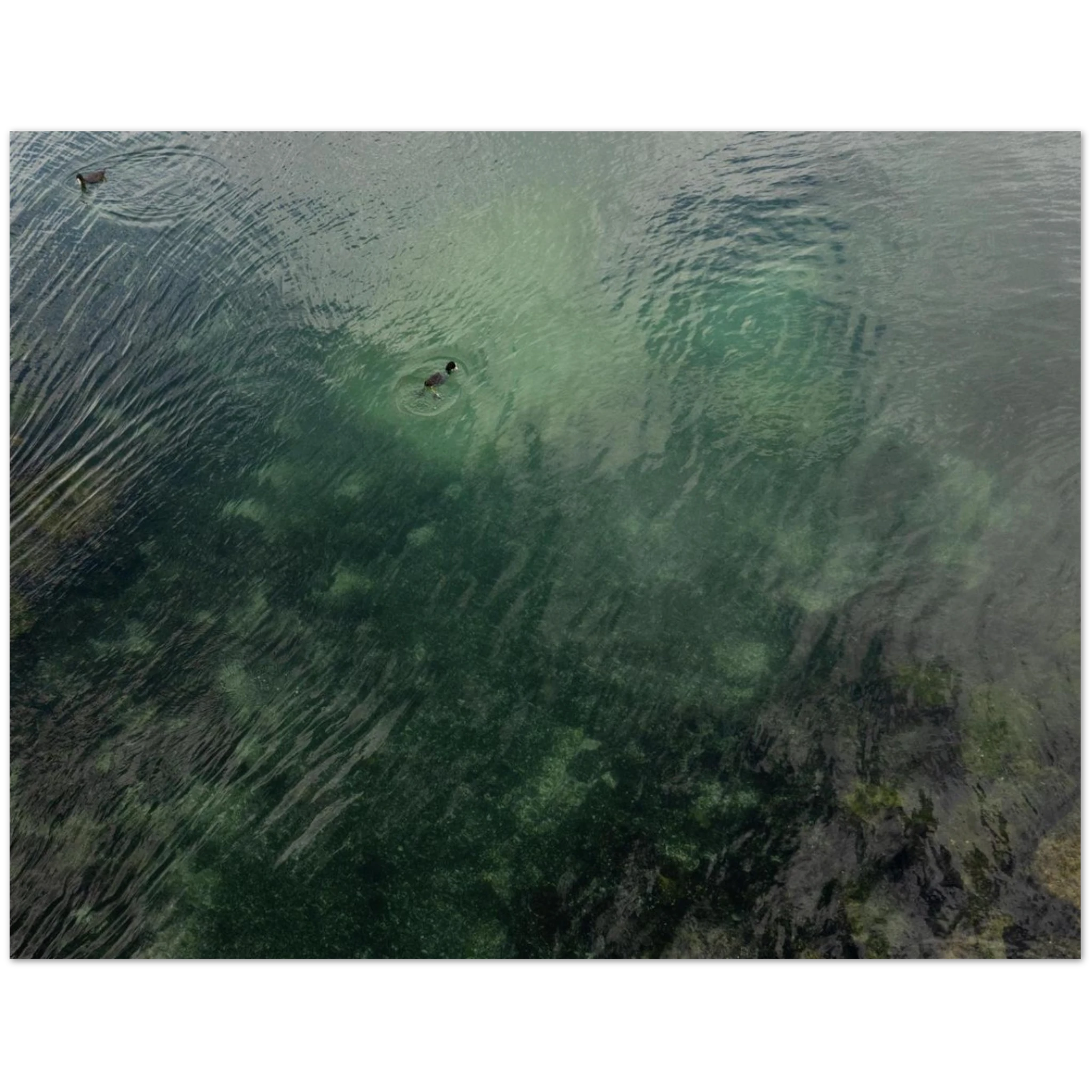 db5f6121-e32f-4911-a978-3842ecc35630