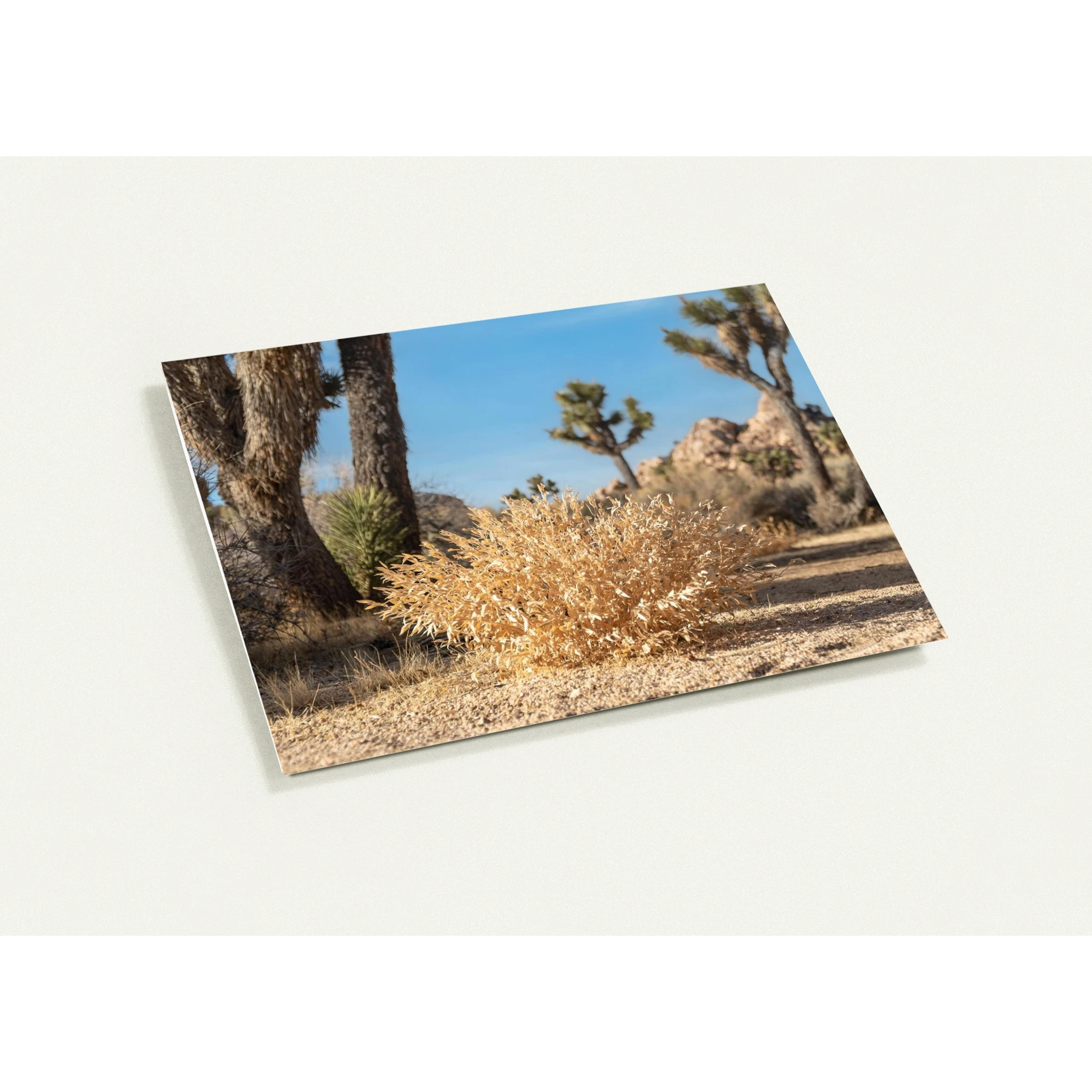 de49bea5-0b53-4449-bdab-336d7b0554ab