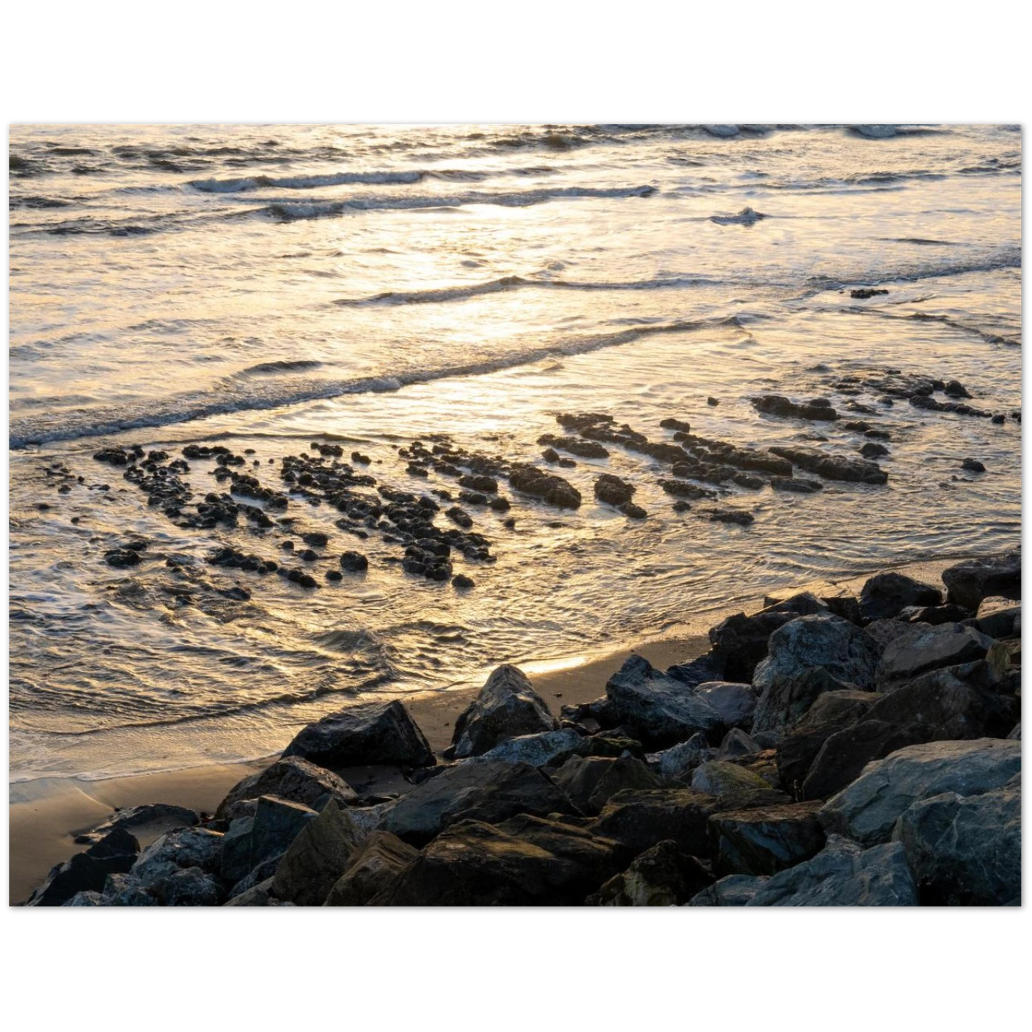 e3cb316b-4856-46ad-a7c6-a58cf06905a8