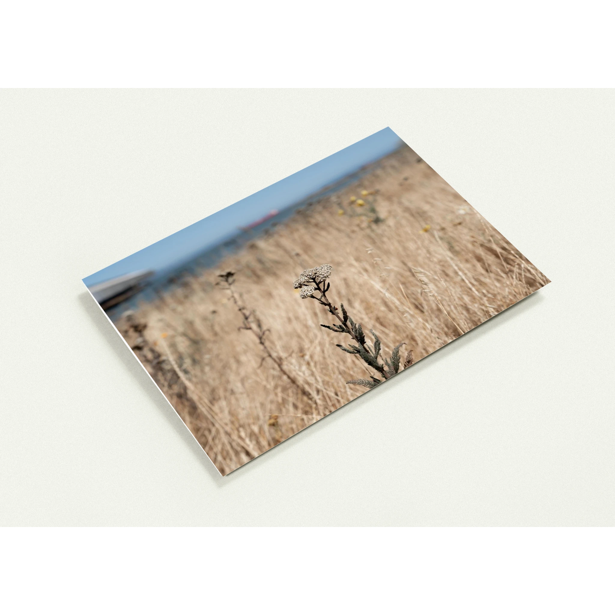 e64c8763-e780-4026-95d9-06481f4b9096