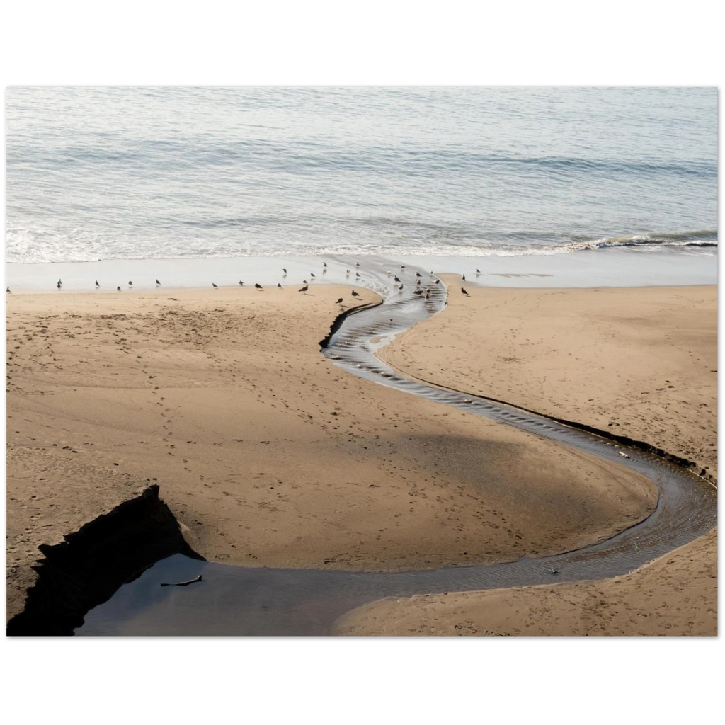 e85f78d1-a79e-4ebf-8e2a-59d3edf134a8