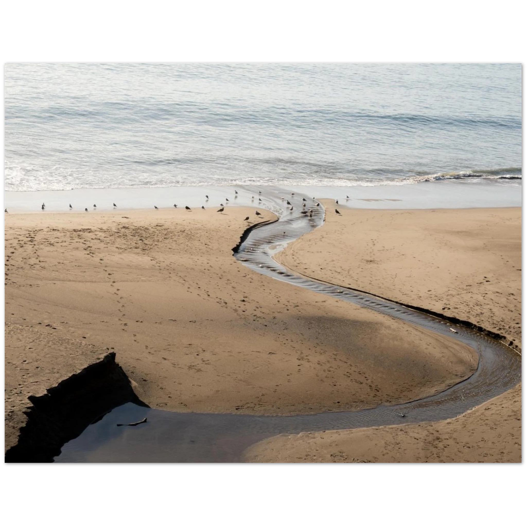 e85f78d1-a79e-4ebf-8e2a-59d3edf134a8