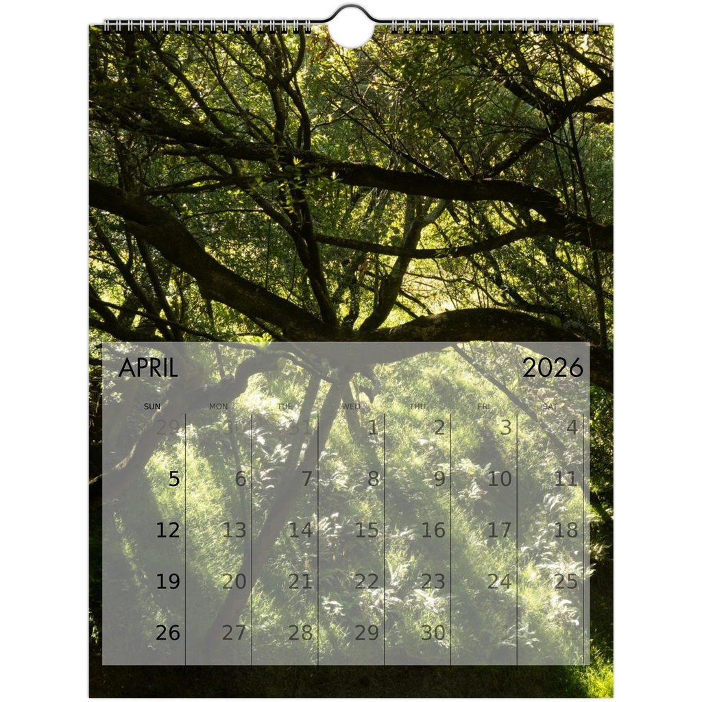 ea527602-aa2e-40d2-b267-18e2087fd615