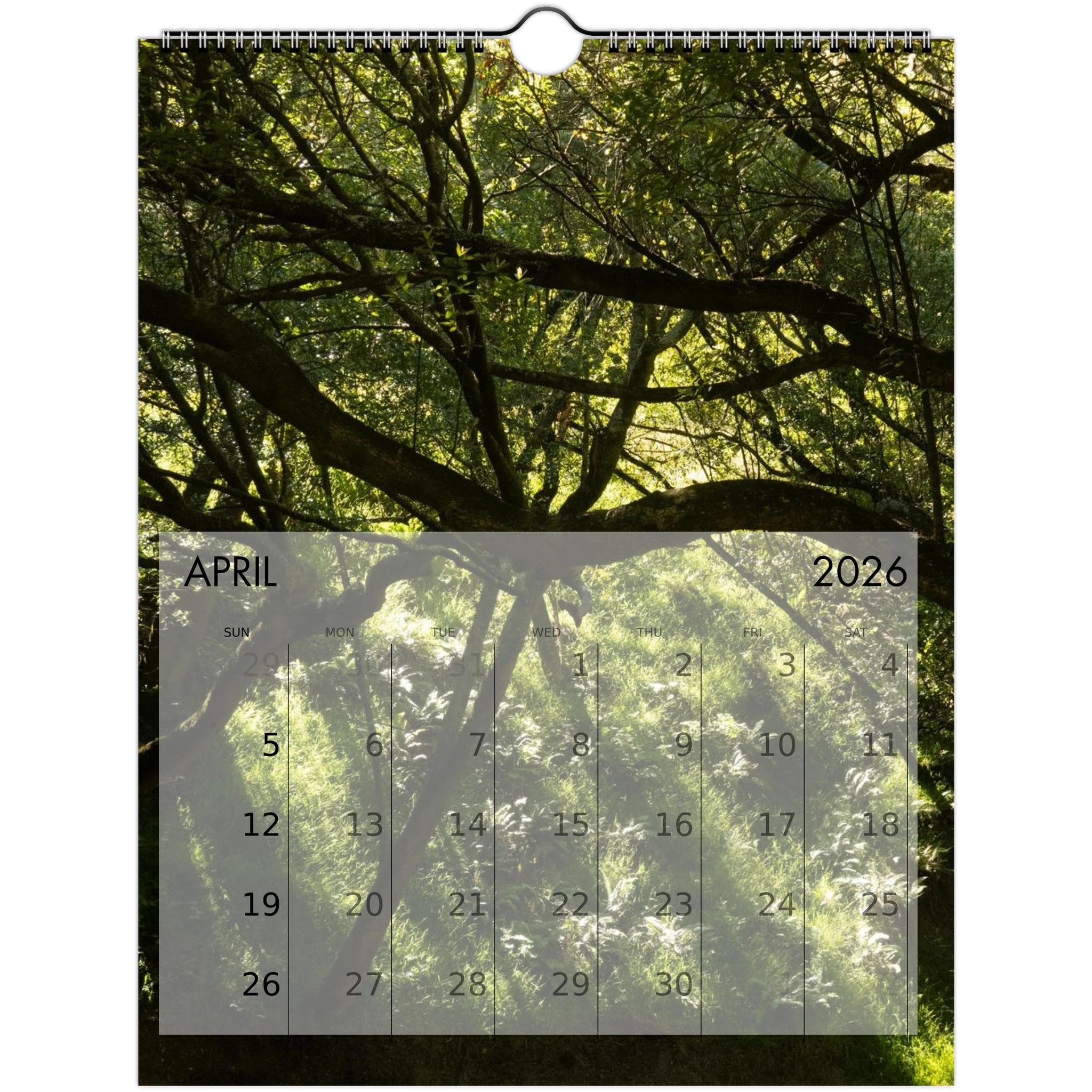 ea527602-aa2e-40d2-b267-18e2087fd615