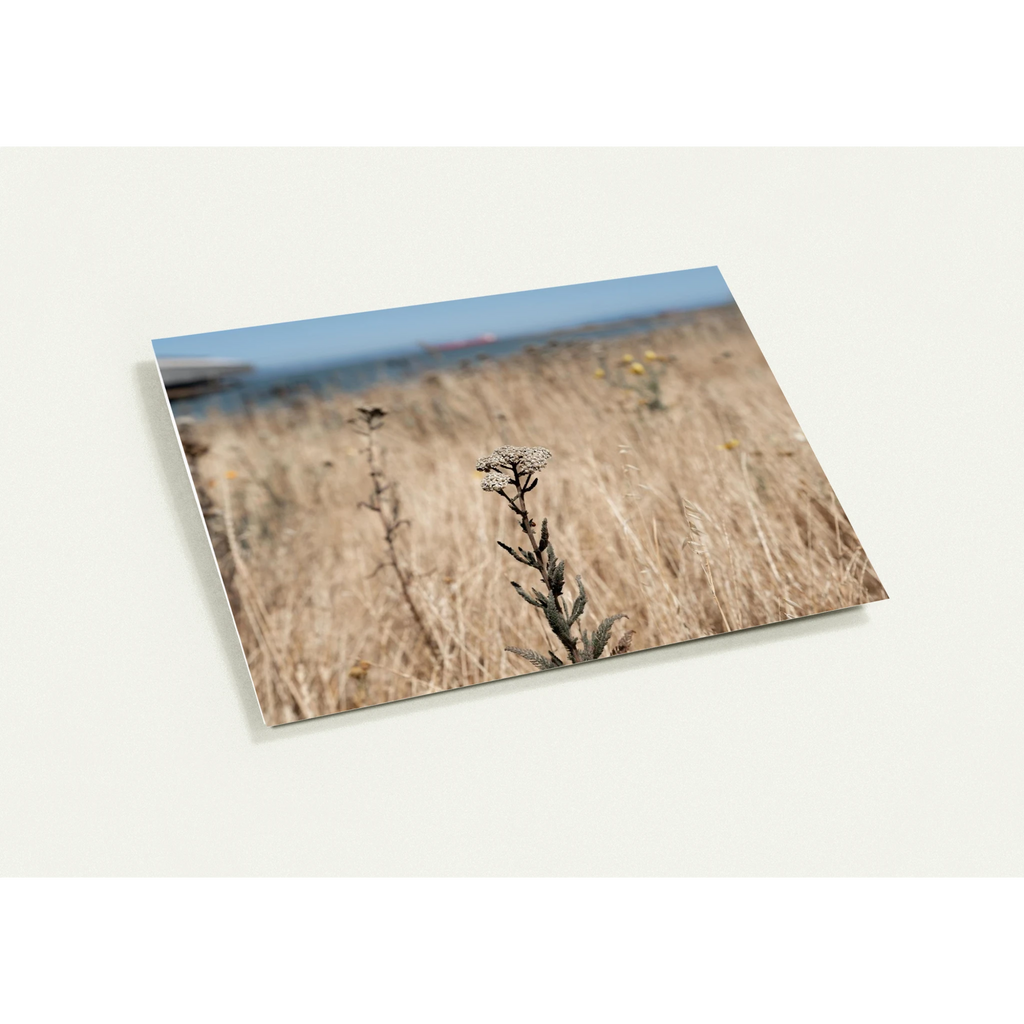 f741be5d-590a-4ee3-a131-ef2183d70b94